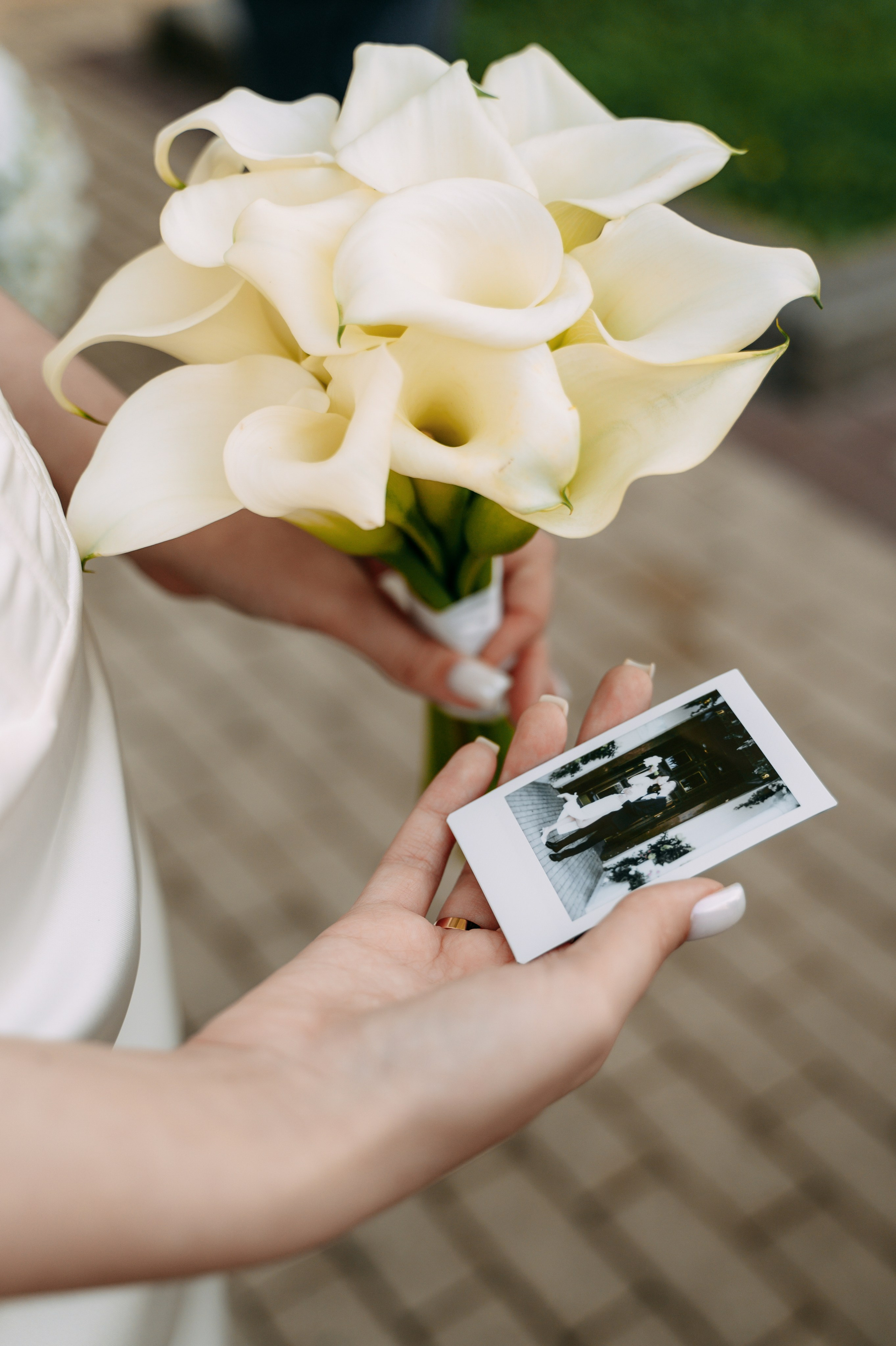 Даша и Влад. Свадебный фотограф, фотограф беременности Дарья Доценко