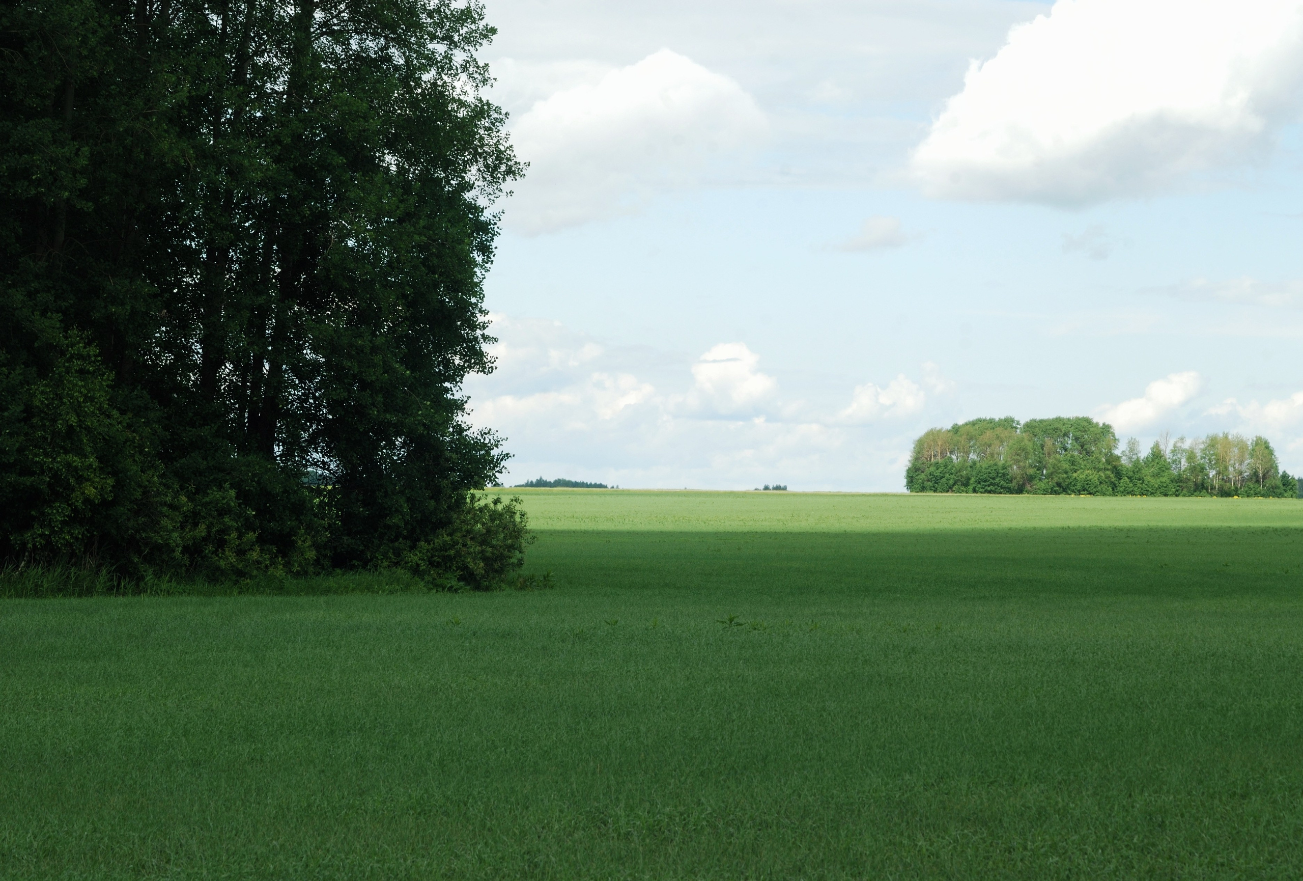 Этот прекрасный мир