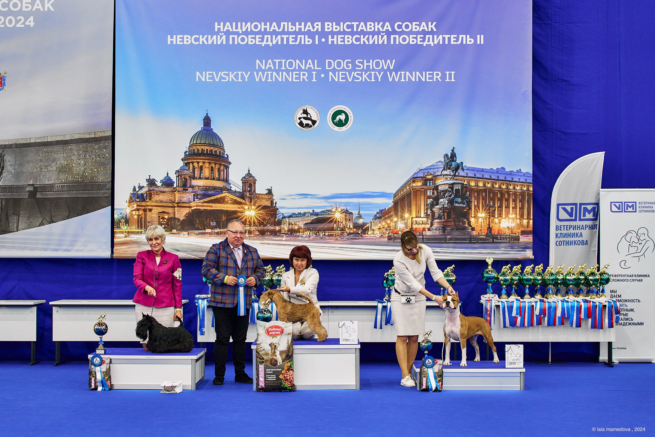 РЕЙТИНГОВАЯ ВЫСТАВКА СОБАК ВСЕХ ПОРОД С ОСОБЫМ СТАТУСОМ"НЕВСКИЙ ПОБЕДИТЕЛЬ-2024-1"