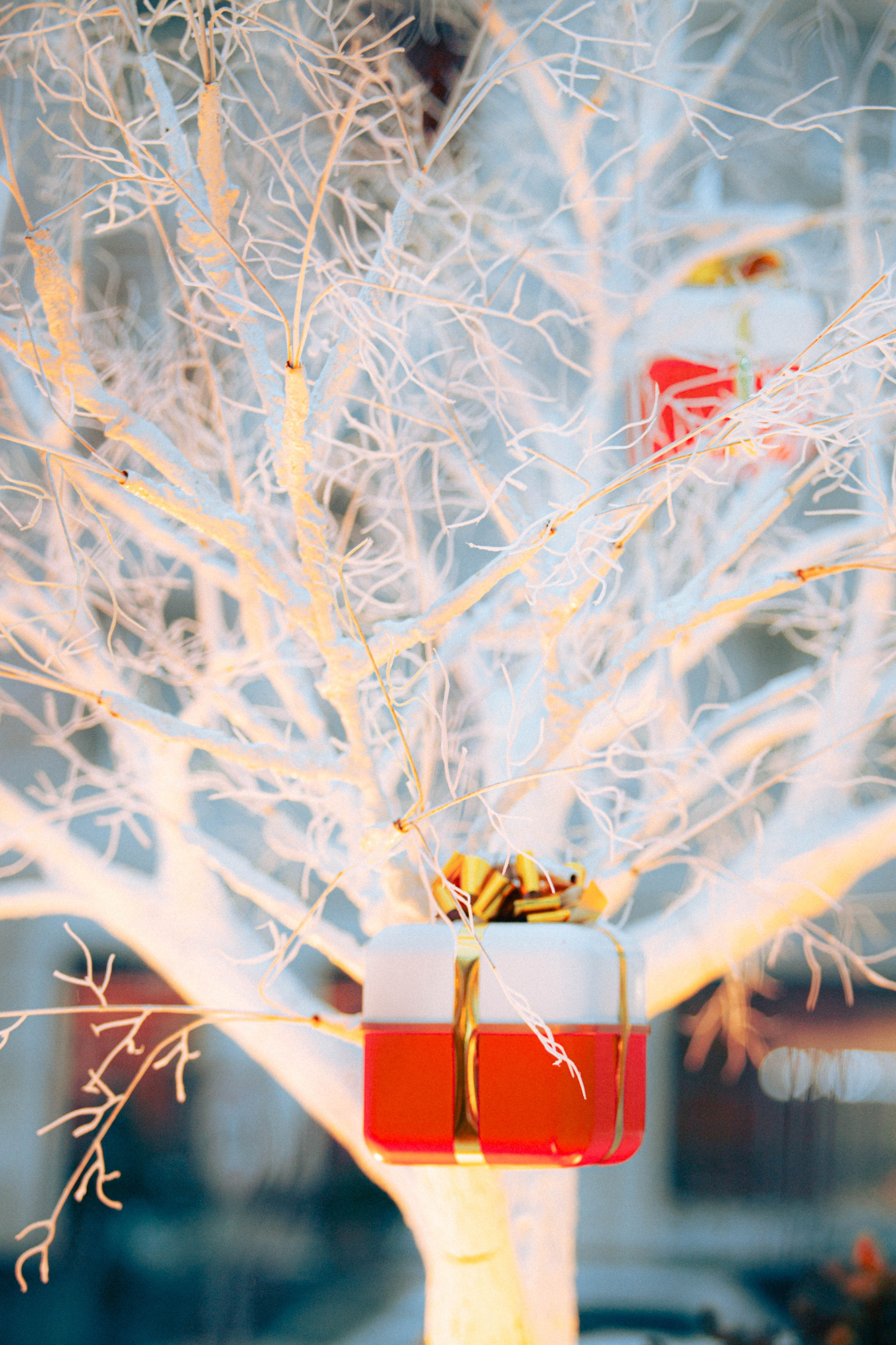 Ночная Москва. Александра Мельниченко/ Бегающий фотограф