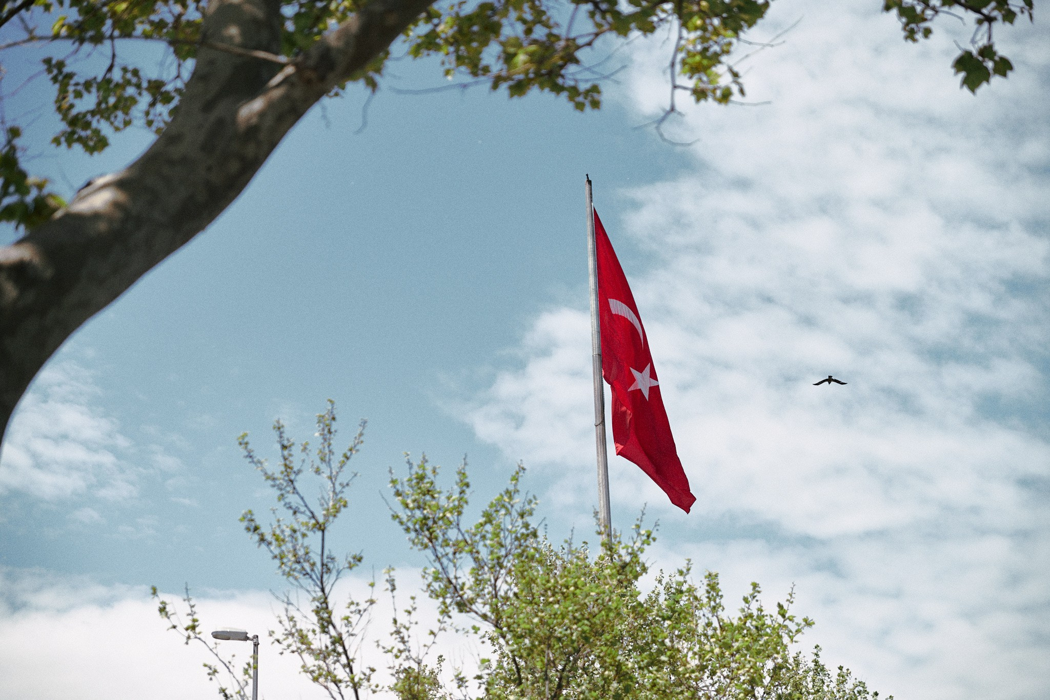 Улица горизонтальная. Jorgis — фотограф в Хургаде / обучение фотографии
