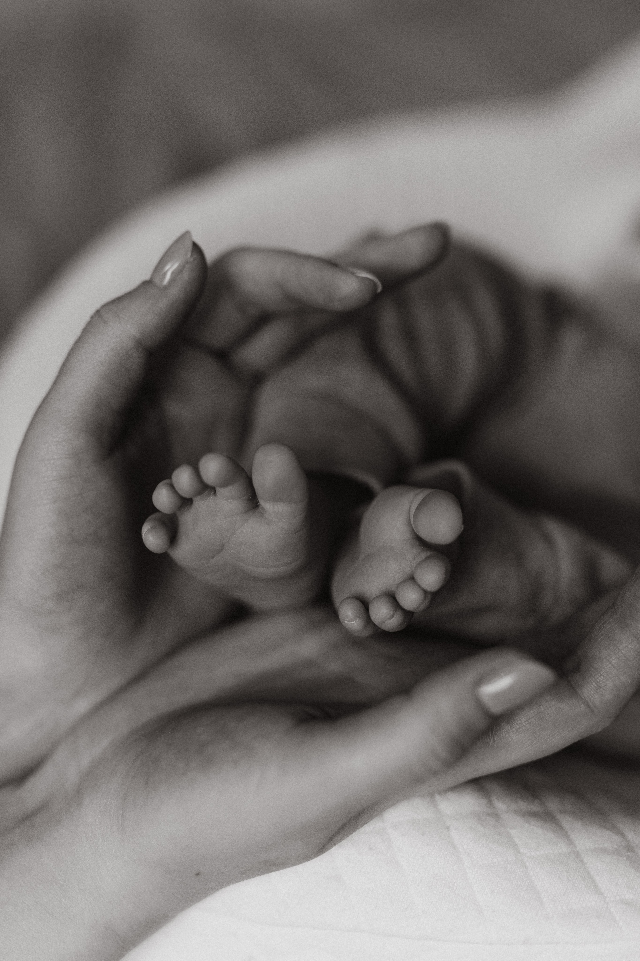 Семейный и домашний фотограф Москва