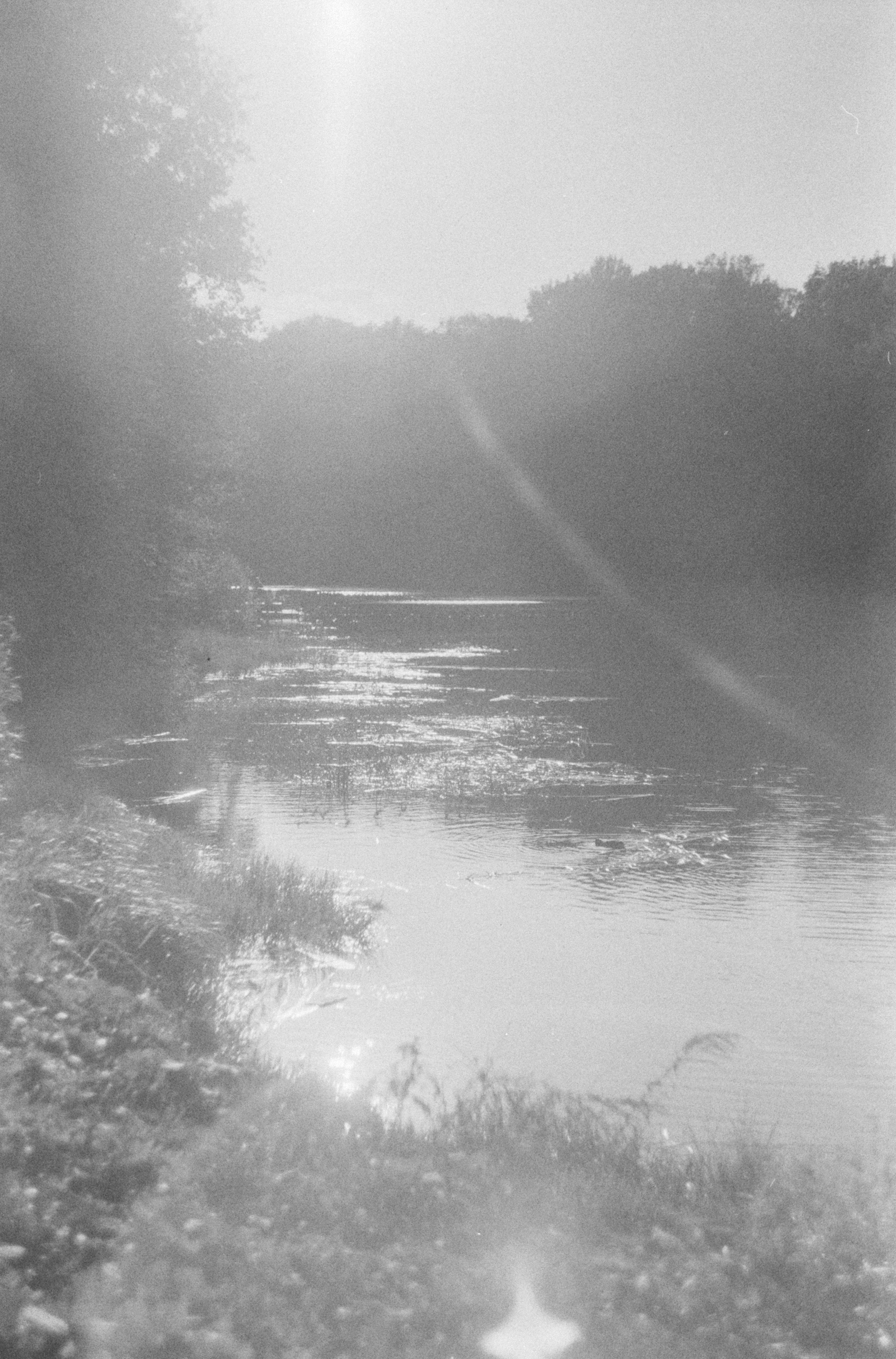 Journal. Photographer Dima Sharov | Фотограф Дима Шаров