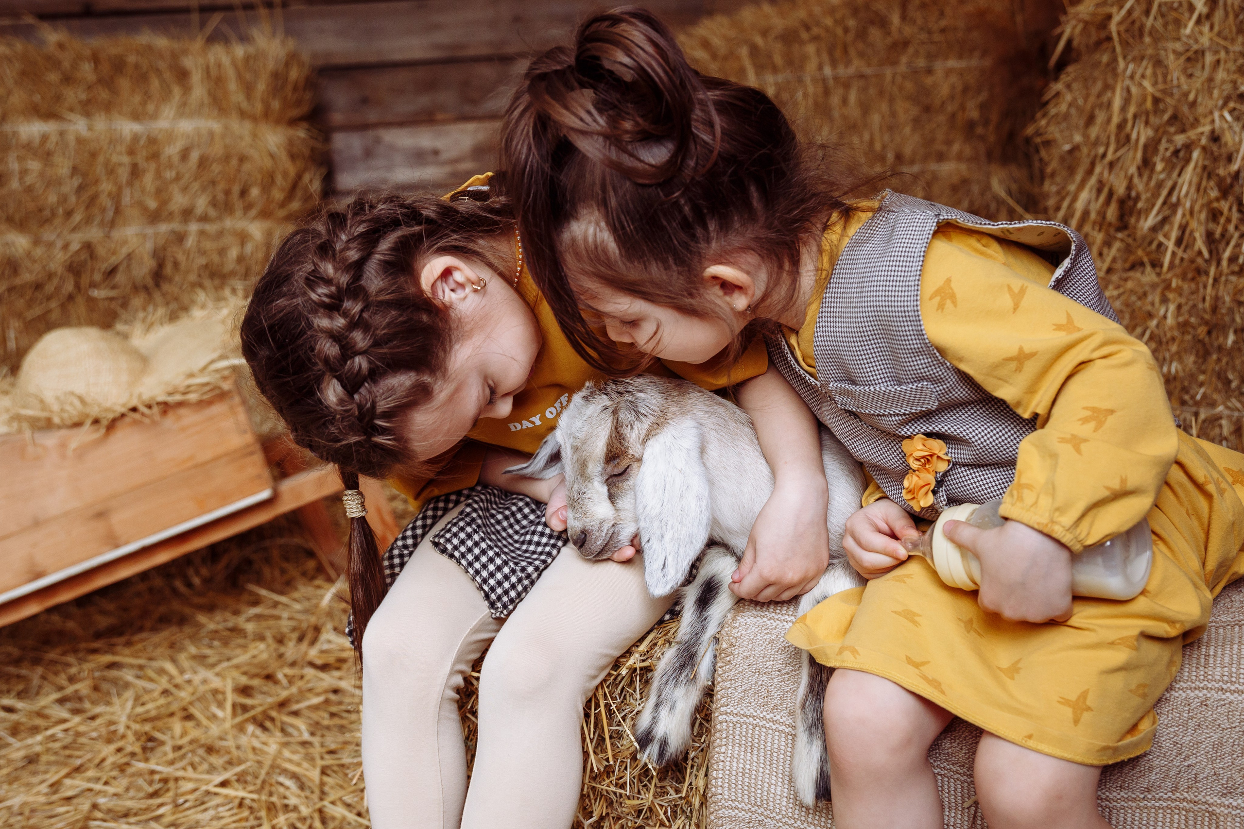 Козлик 2025. Фотограф новорожденных Тверь Диана Муляева