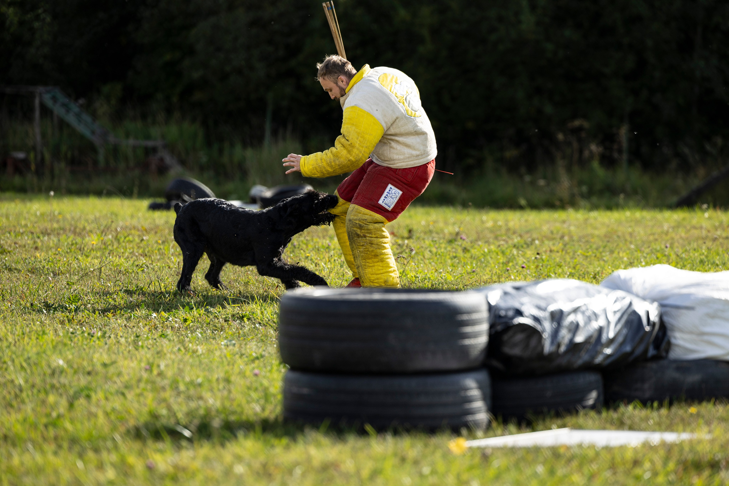 Испытания по Мондьорингу г. Пушкин. Фотограф-анималист Анна Маринич