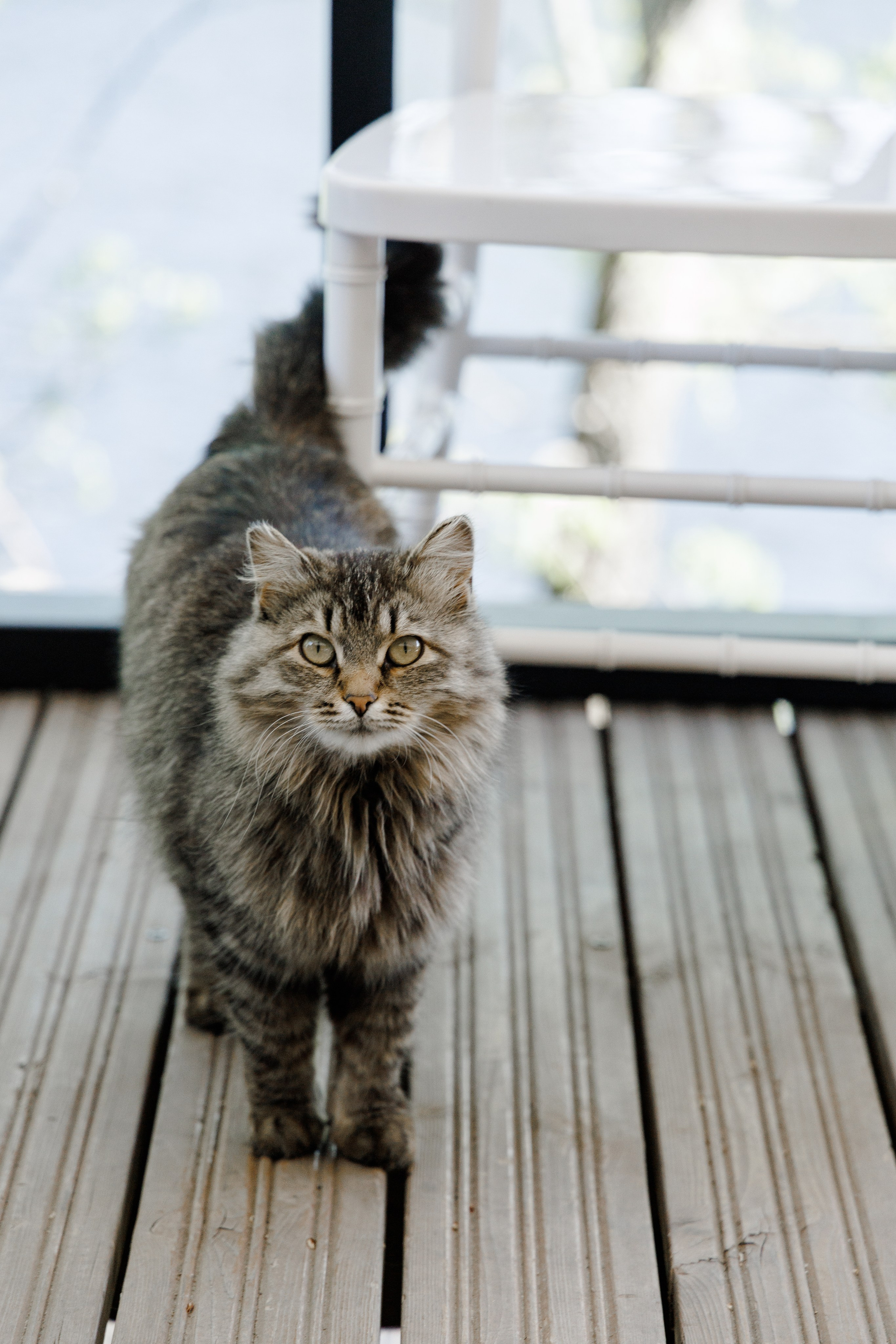 Игорь и Татьяна. Свадебный фотограф в Самаре Виденмаер Евгения