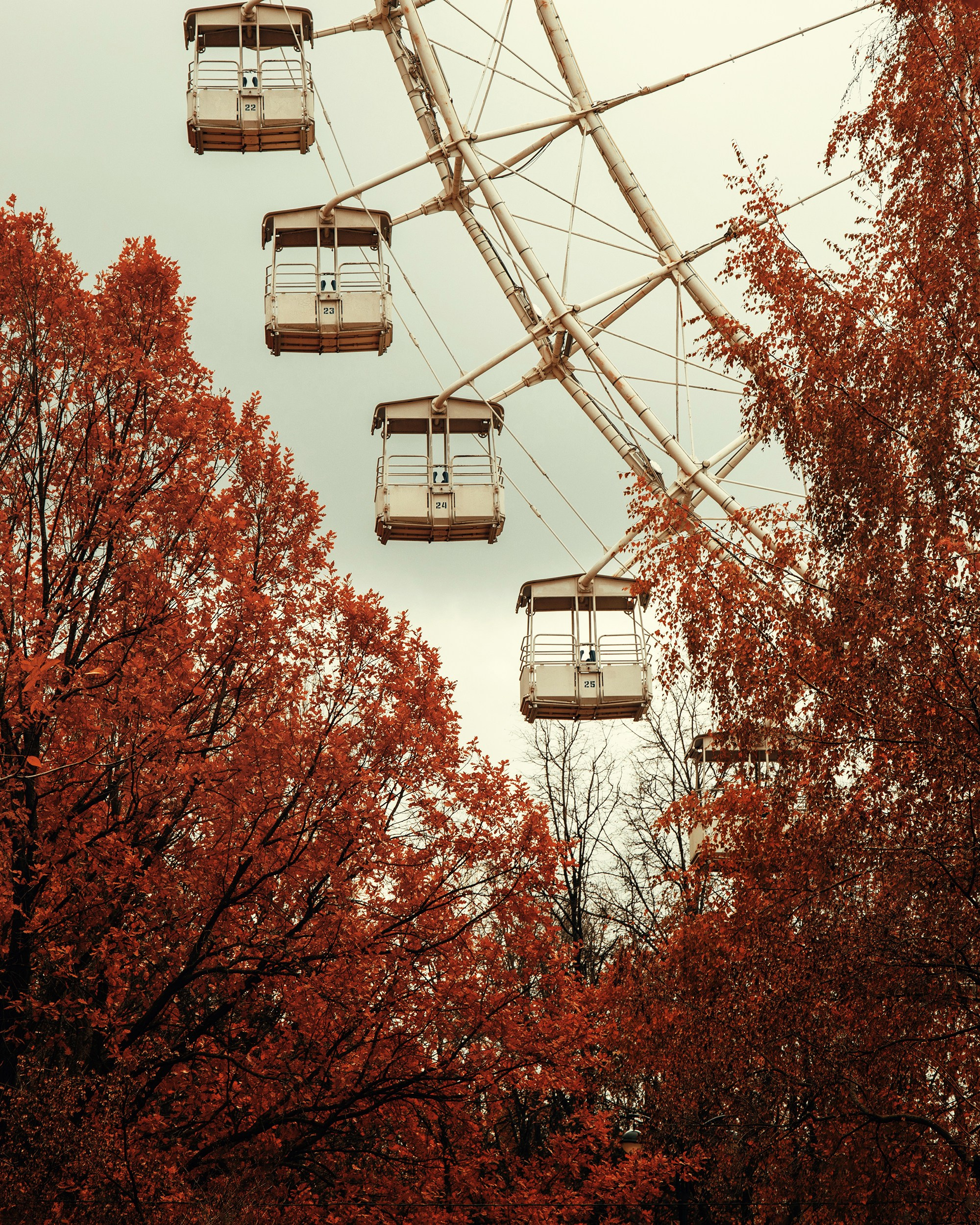 Арт-фото. Михаил Данилов | Фотограф