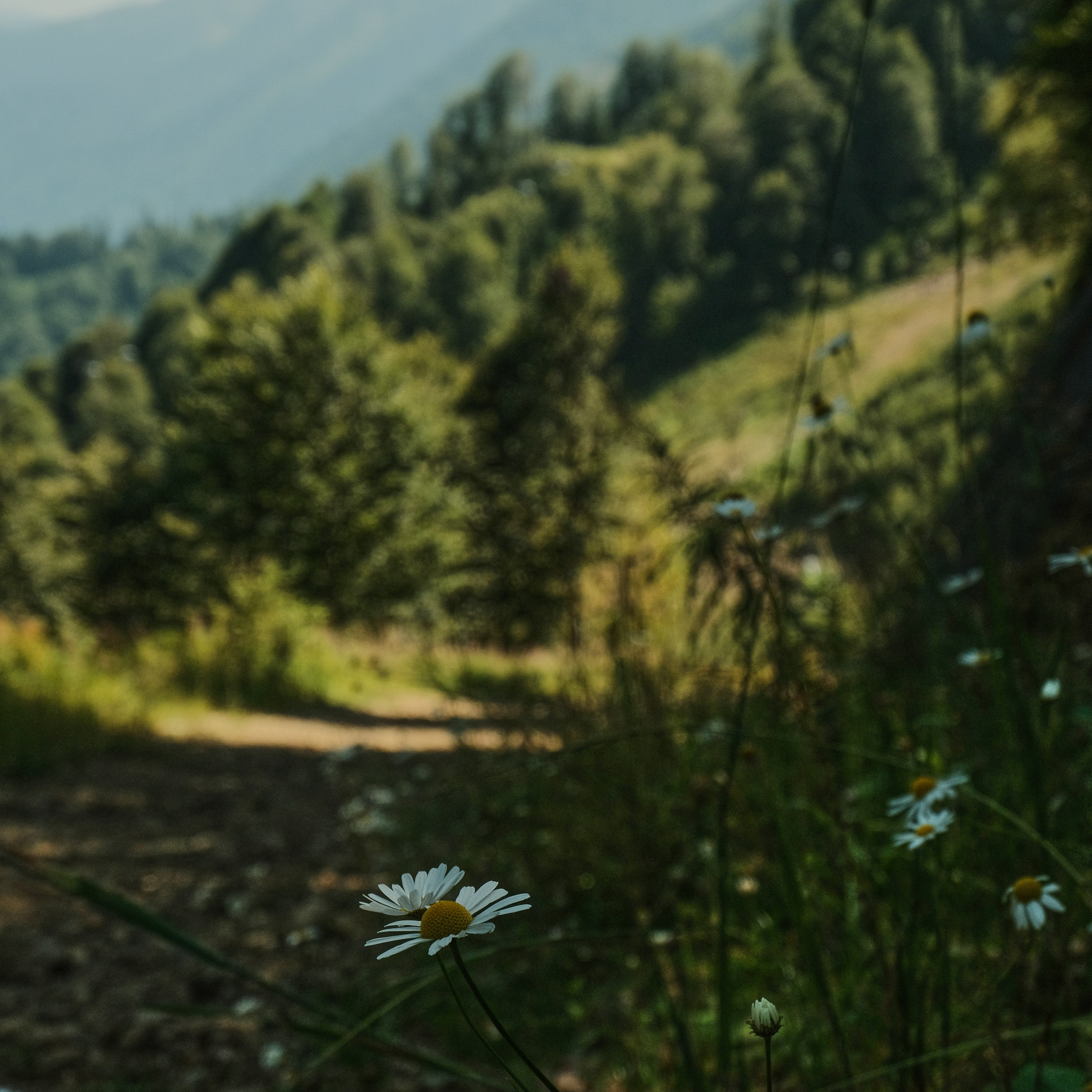 Krasnaya Polyana. Creative travel photographer — Berg Daria