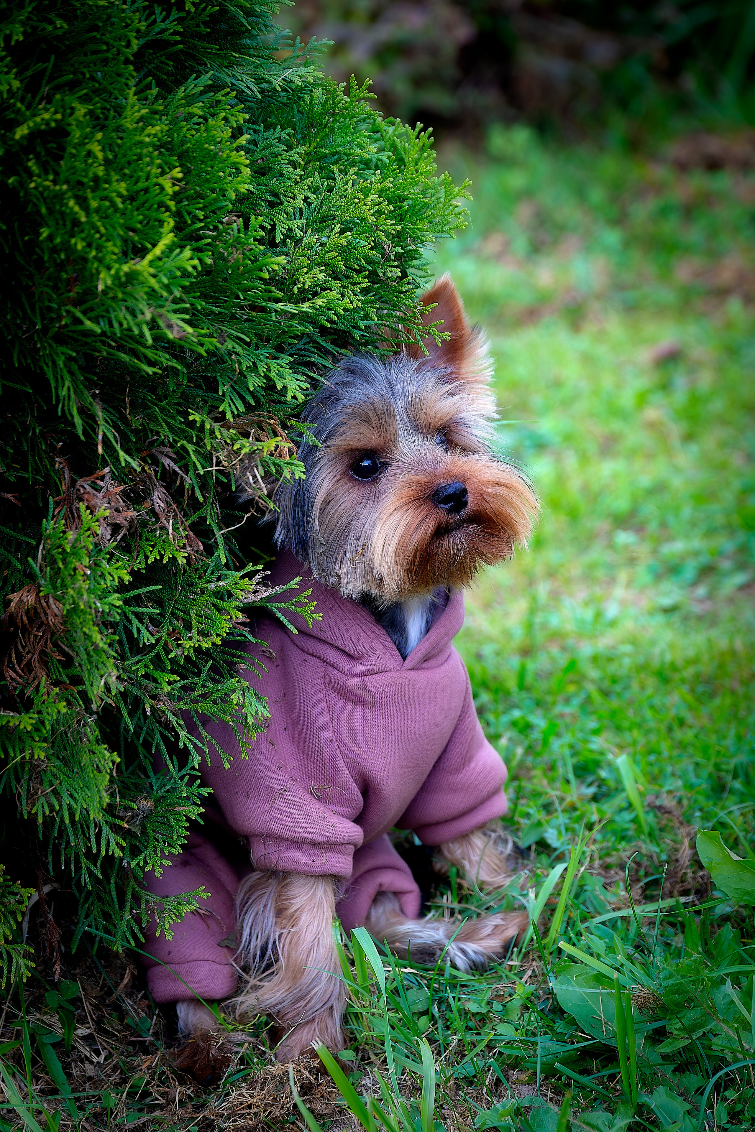 Тофик. Лев Постнов.Фотограф. Нижний Новгород