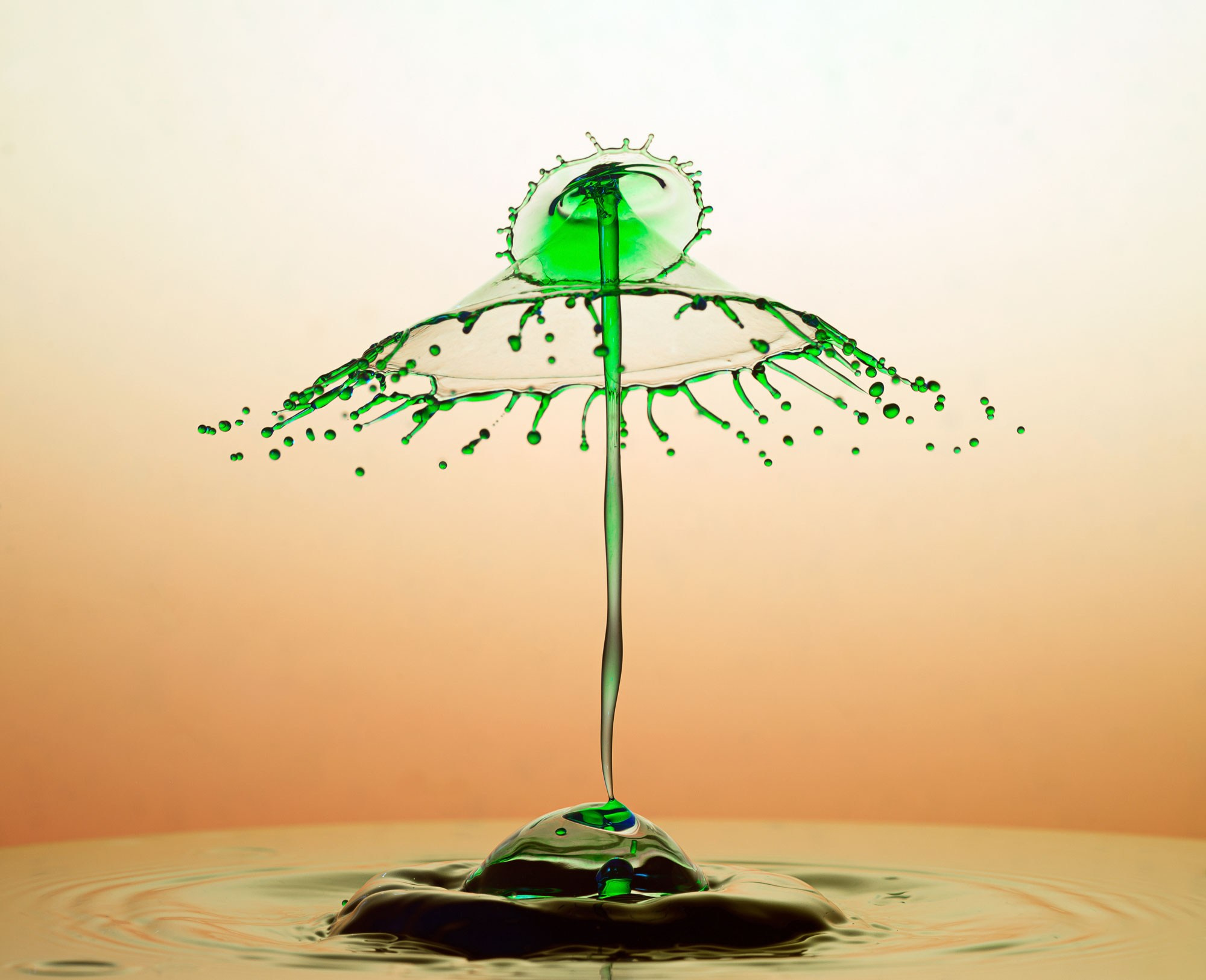 Классические формы. Скульптуры из воды Сергея Толмачева