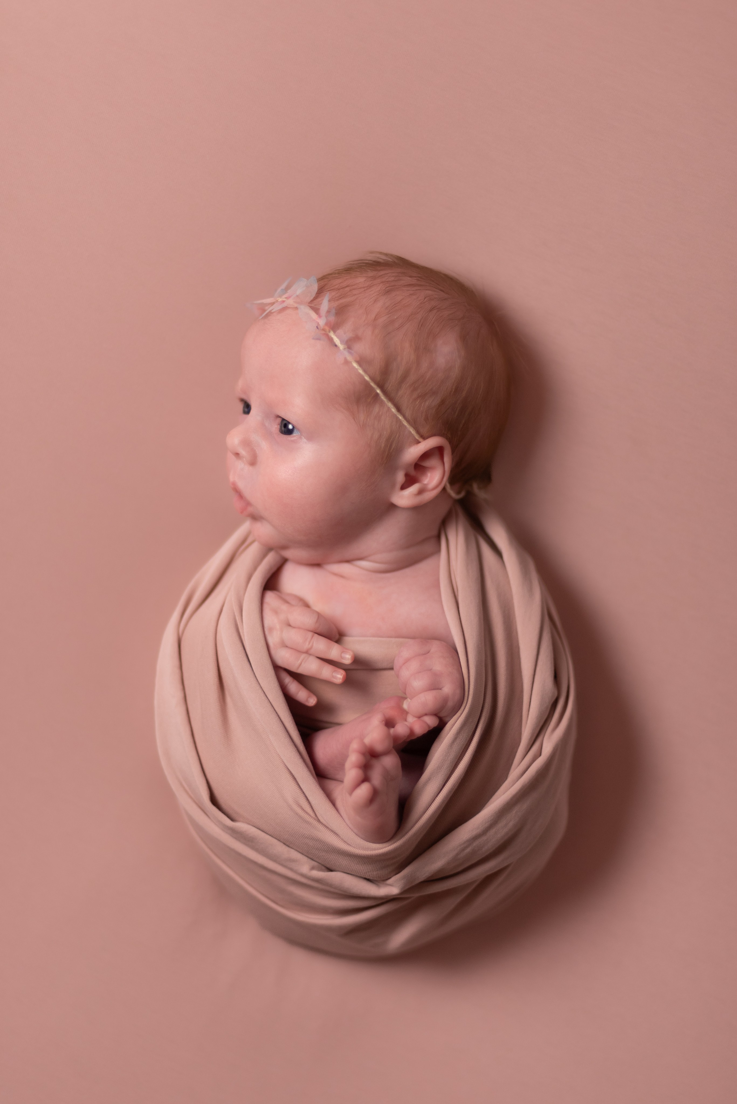 ✨. Профессиональный фотограф новорожденных Тверь