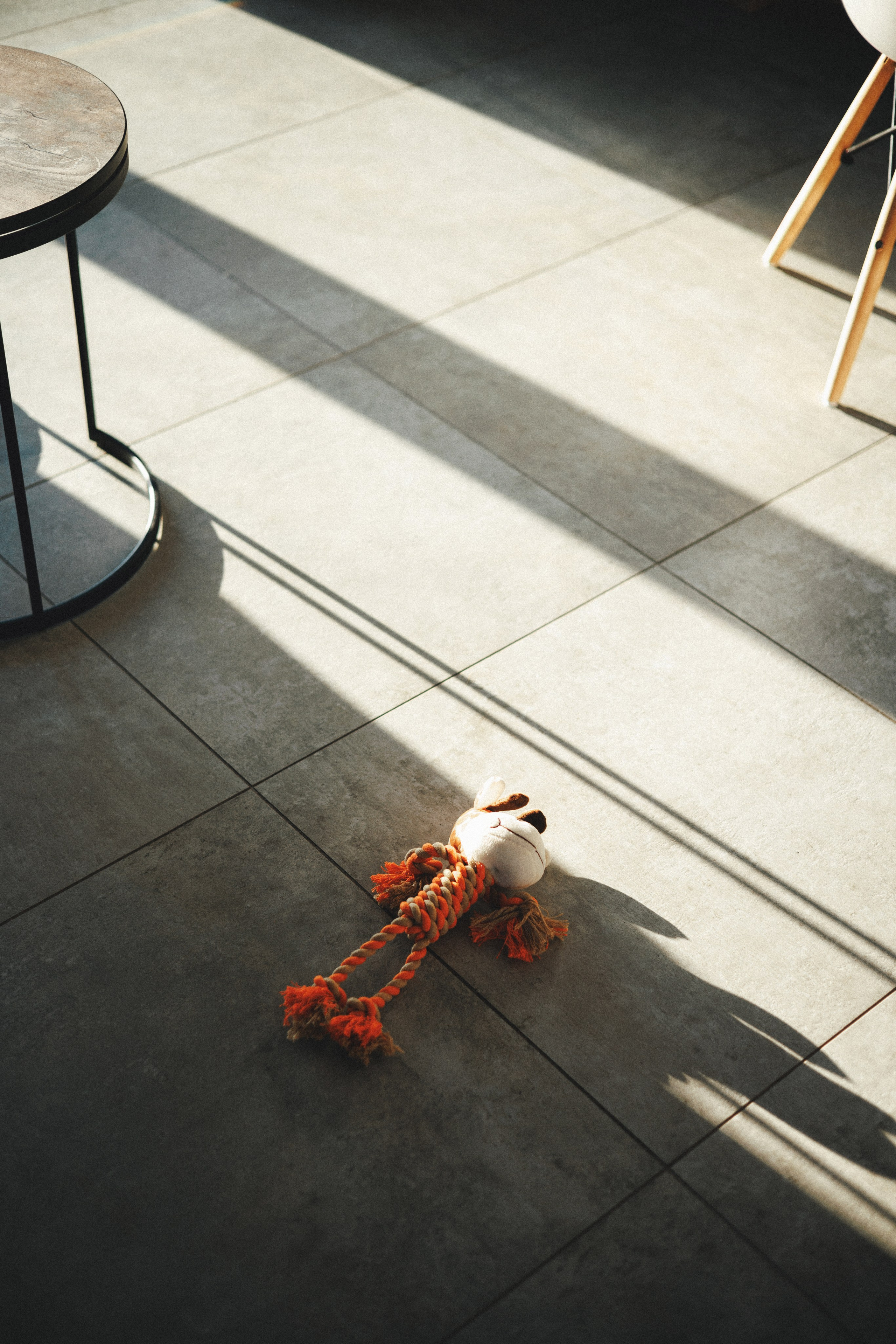 M-Pets. Фотограф анималист Осипчикова Мария