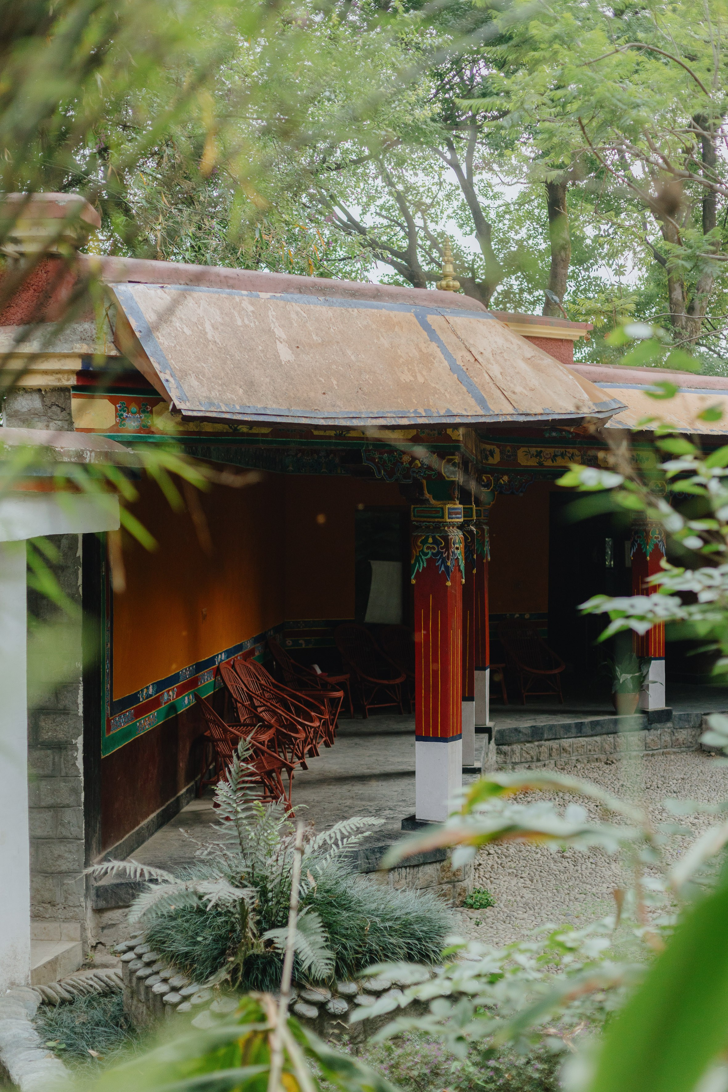 Экскурсия в резиденцию Далай Ламы с Косом и Лу. Фотограф Ольхон/ Индия, Регина