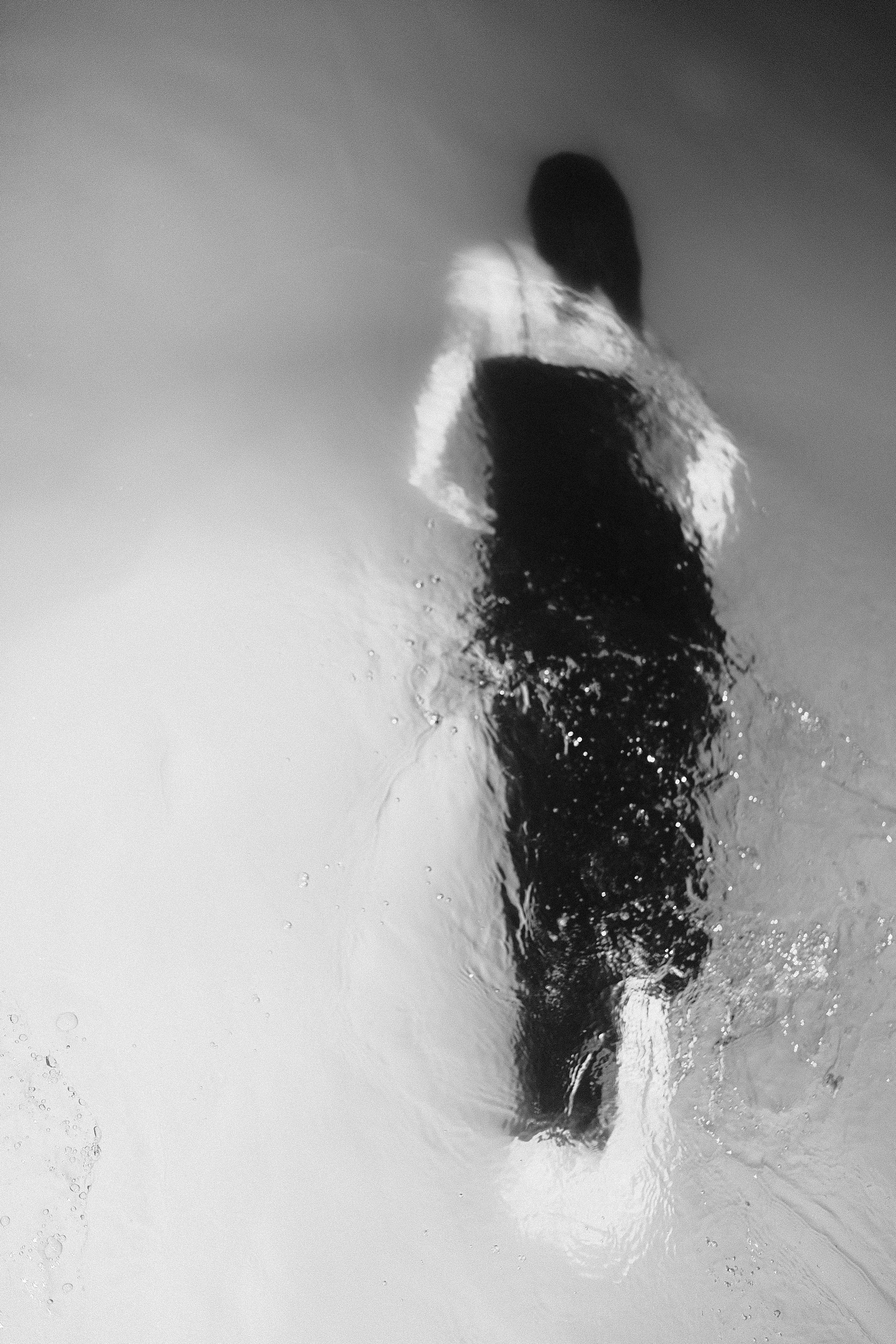 Alina. Vanyazaramkami