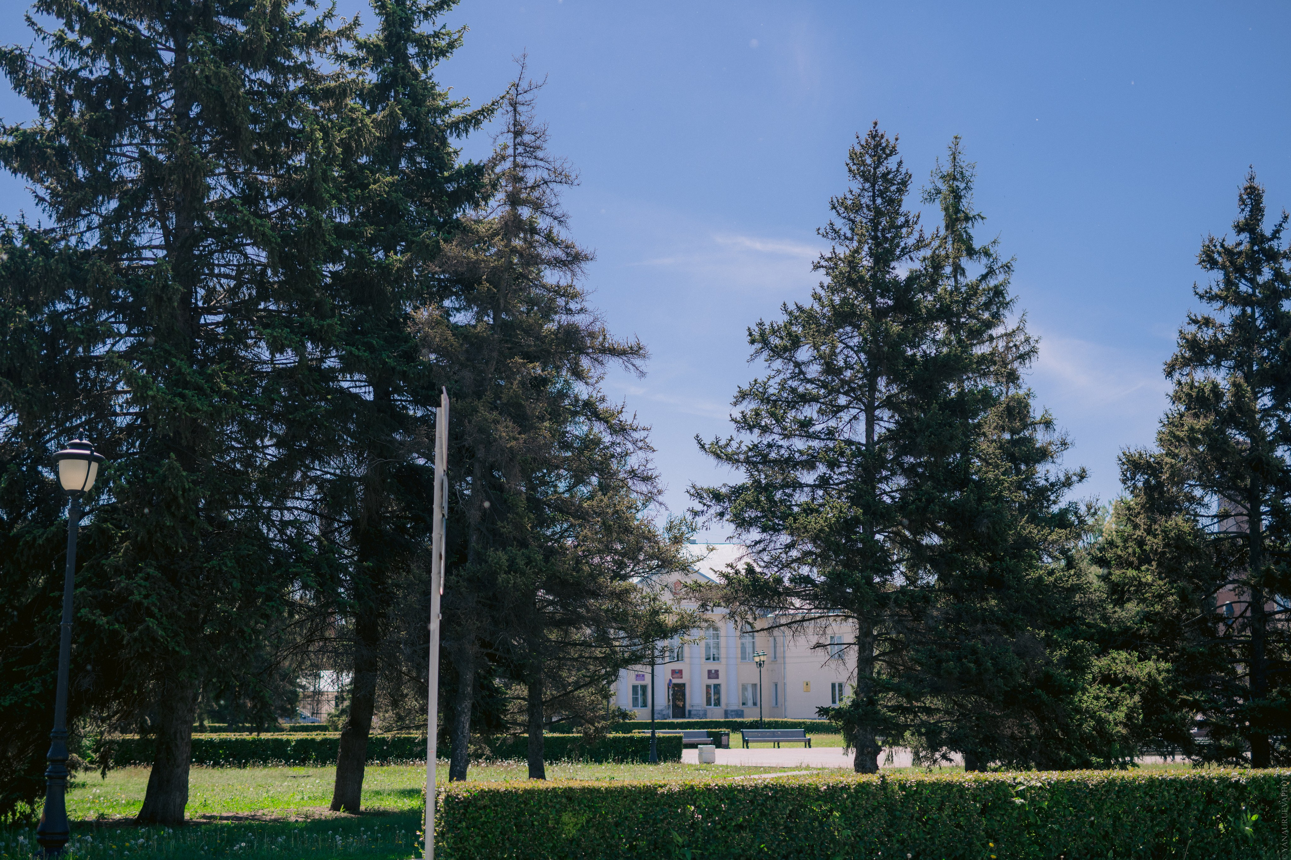 Нежный май. Даниил и Александра. Свадебный и контент- фотограф в Тольятти, Самаре, Москве Яна Уруева