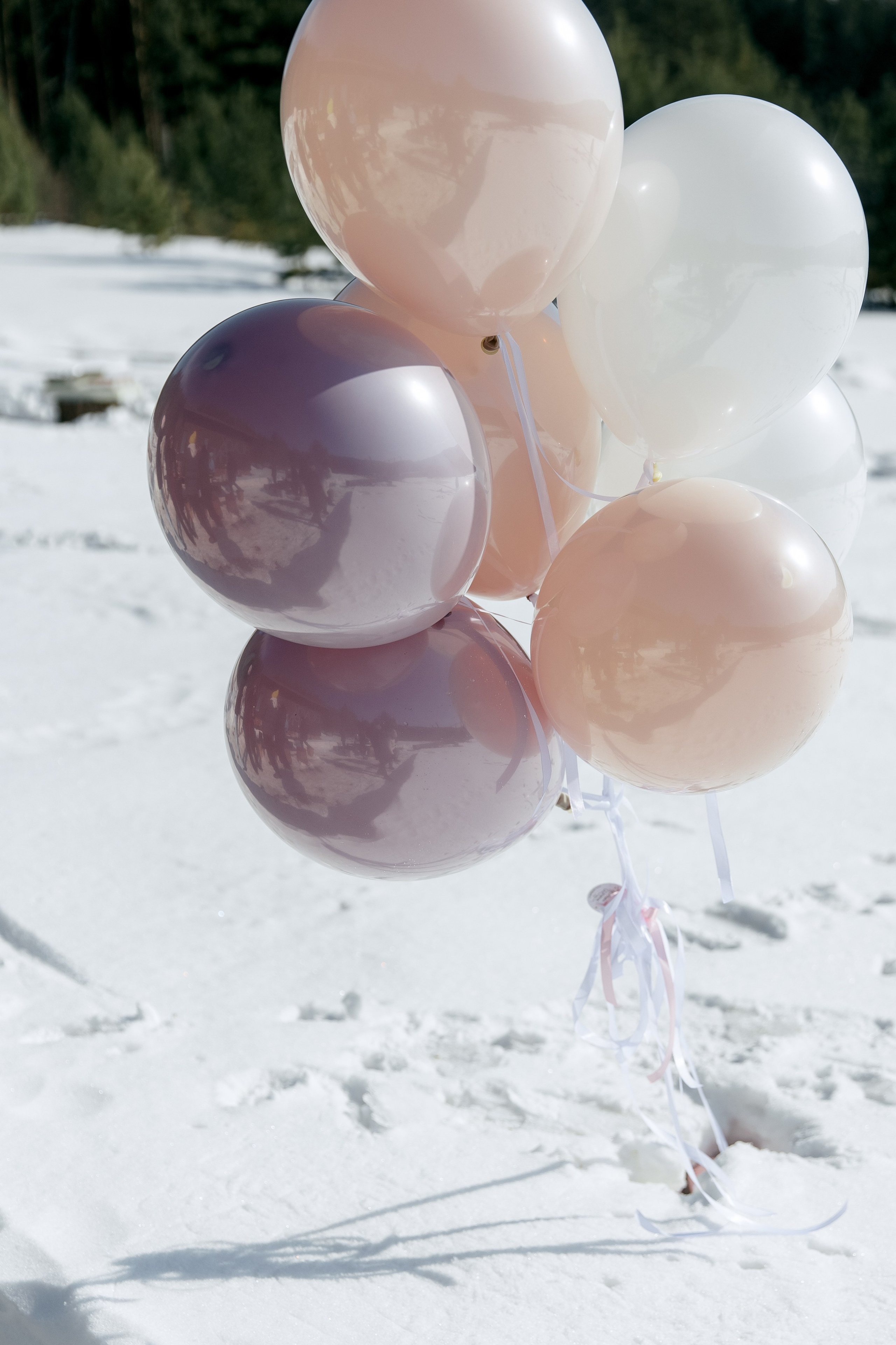 ДЕНЬ ДОЖДЕНИЯ ЕКАТЕРИНЫ. Фотограф в Красноярске