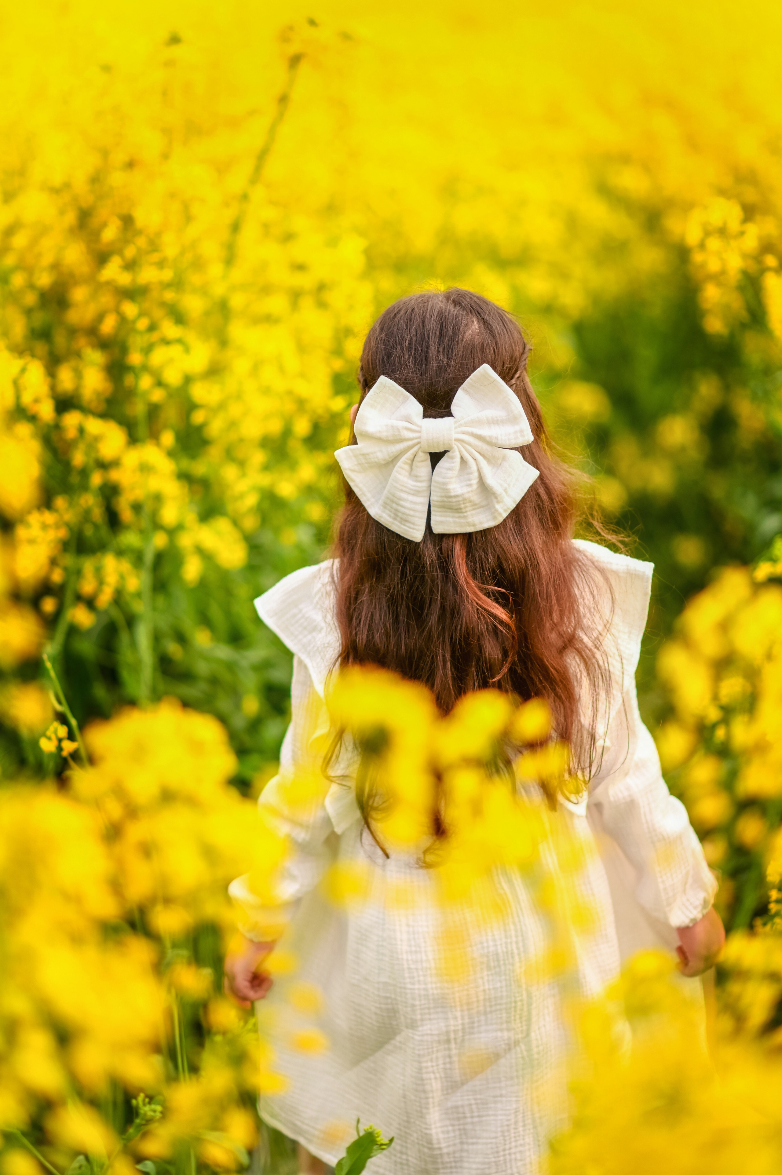 Рапсовое поле. Семейный и детский фотограф Анапа