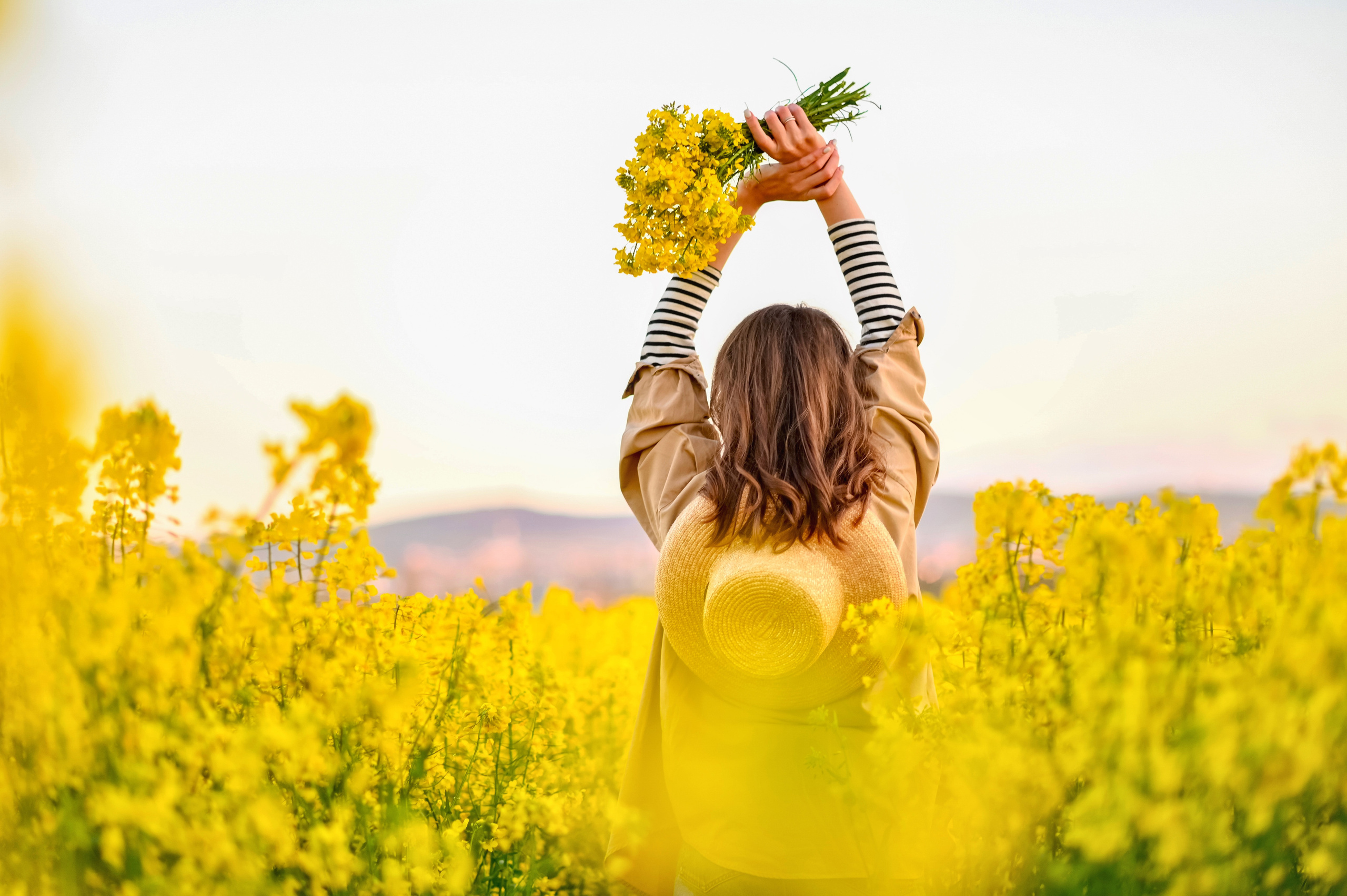 Рапсовое поле. Семейный и детский фотограф Анапа