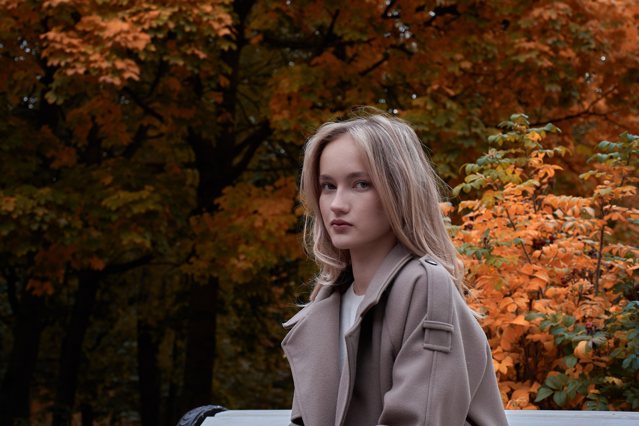 Осенняя история. Сергей Ильин | Фотограф