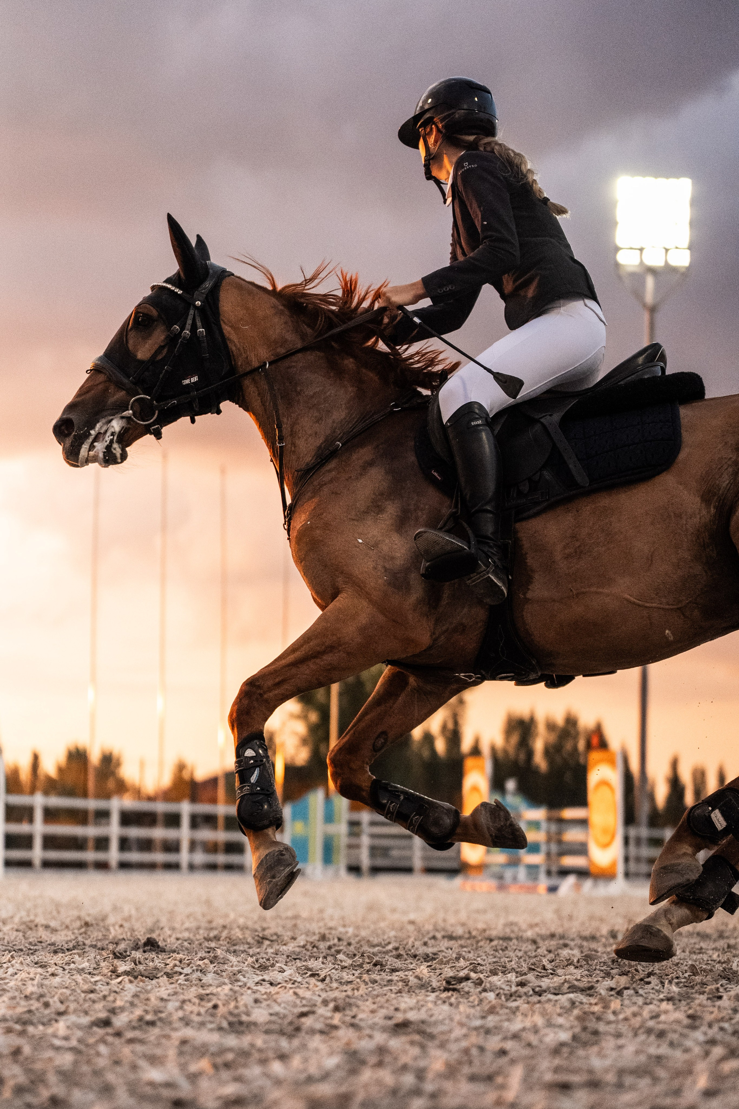 Prestige Astana Cup. 2026. Janie valde |photographer & visual artist