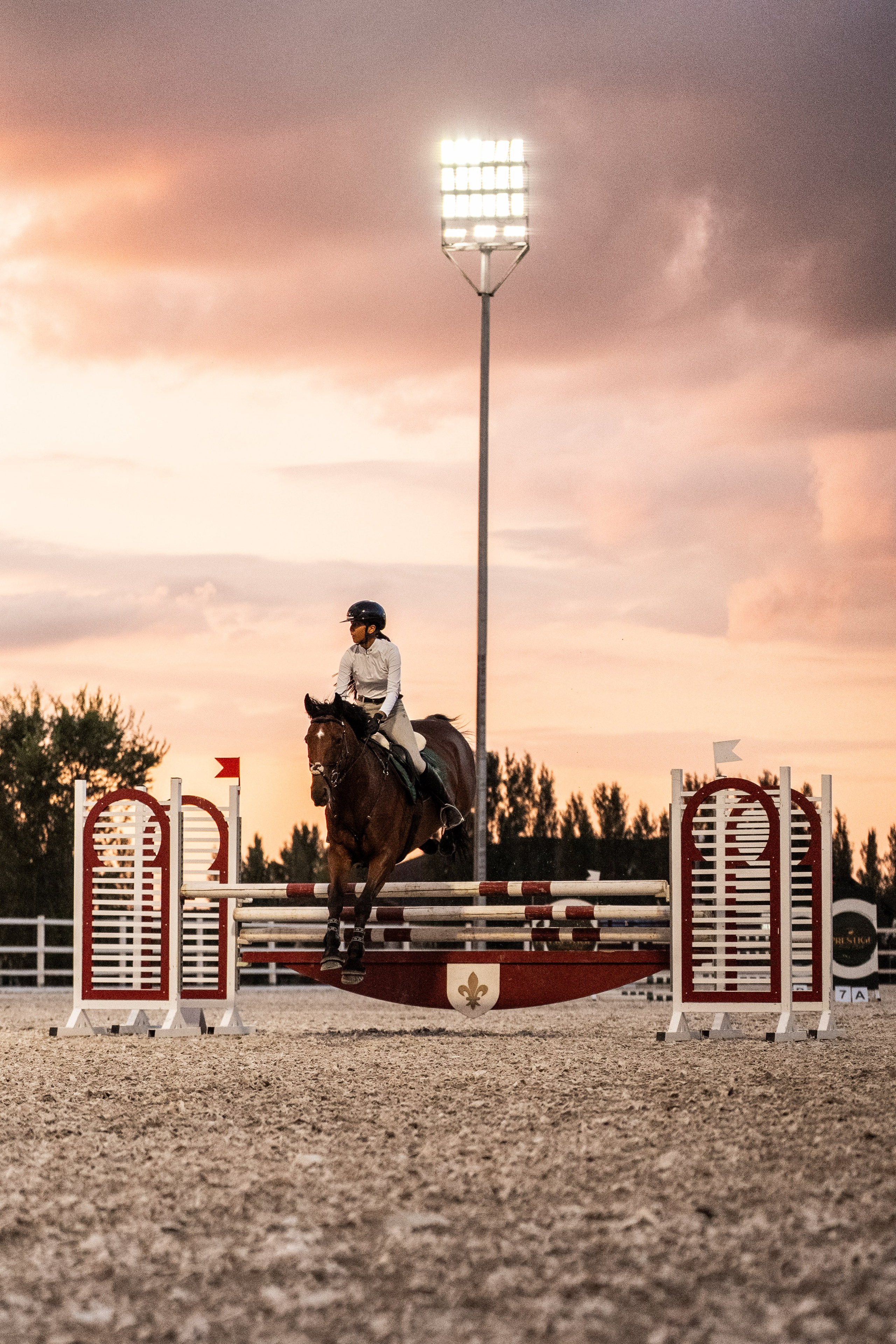 Prestige Astana Cup. 2026. Janie valde |photographer & visual artist