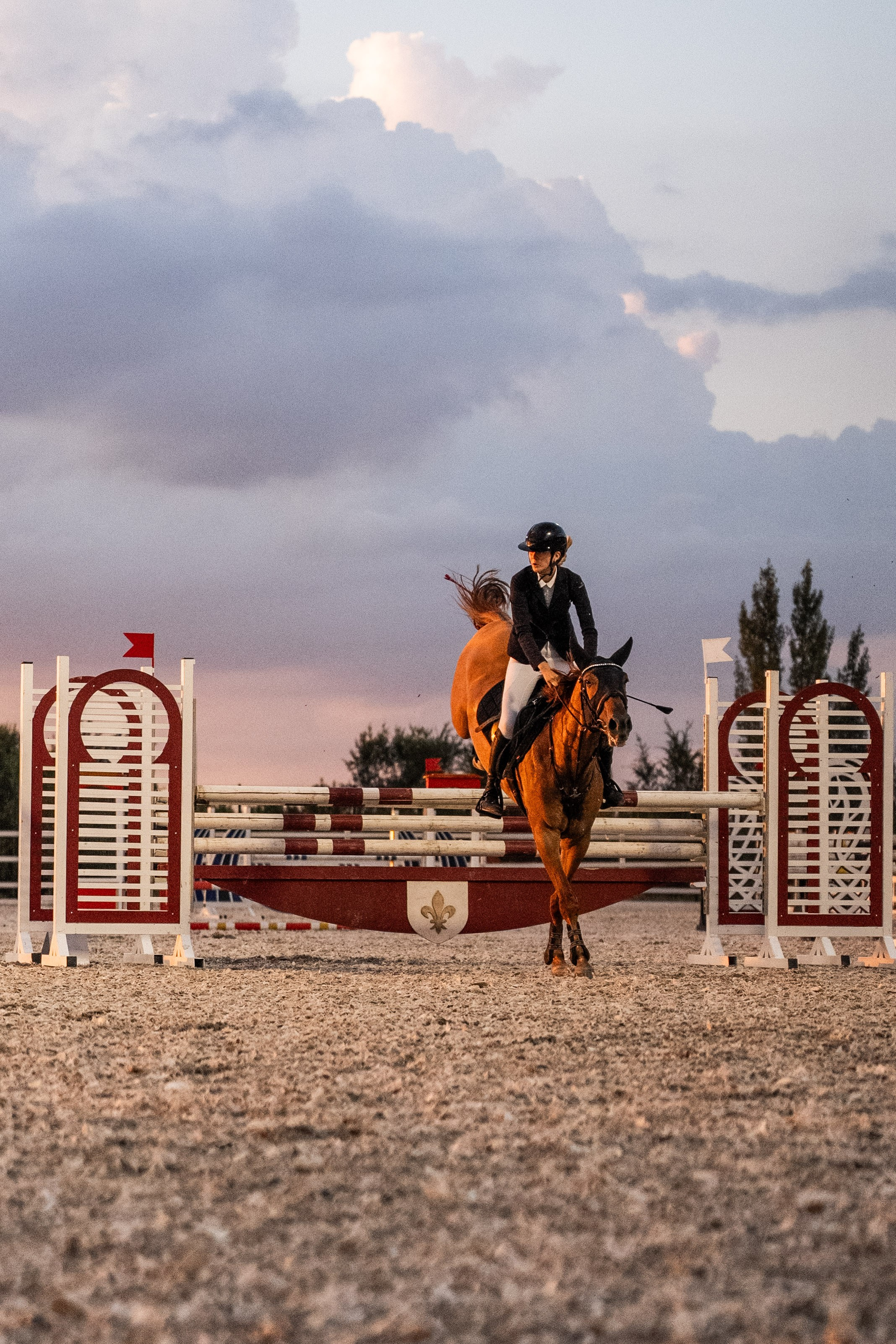 Prestige Astana Cup. 2026. Janie valde |photographer & visual artist