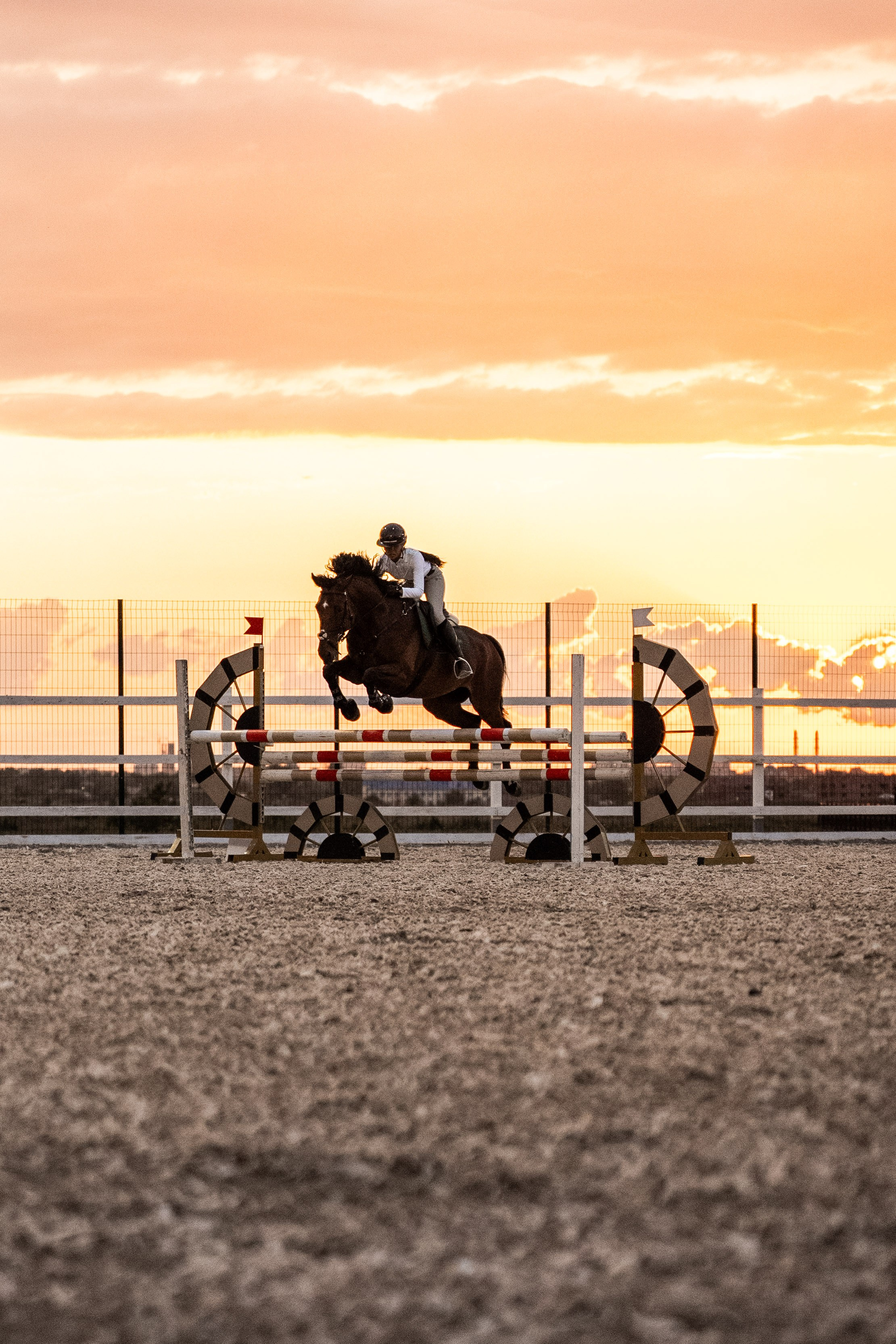 Prestige Astana Cup. 2026. Janie valde |photographer & visual artist