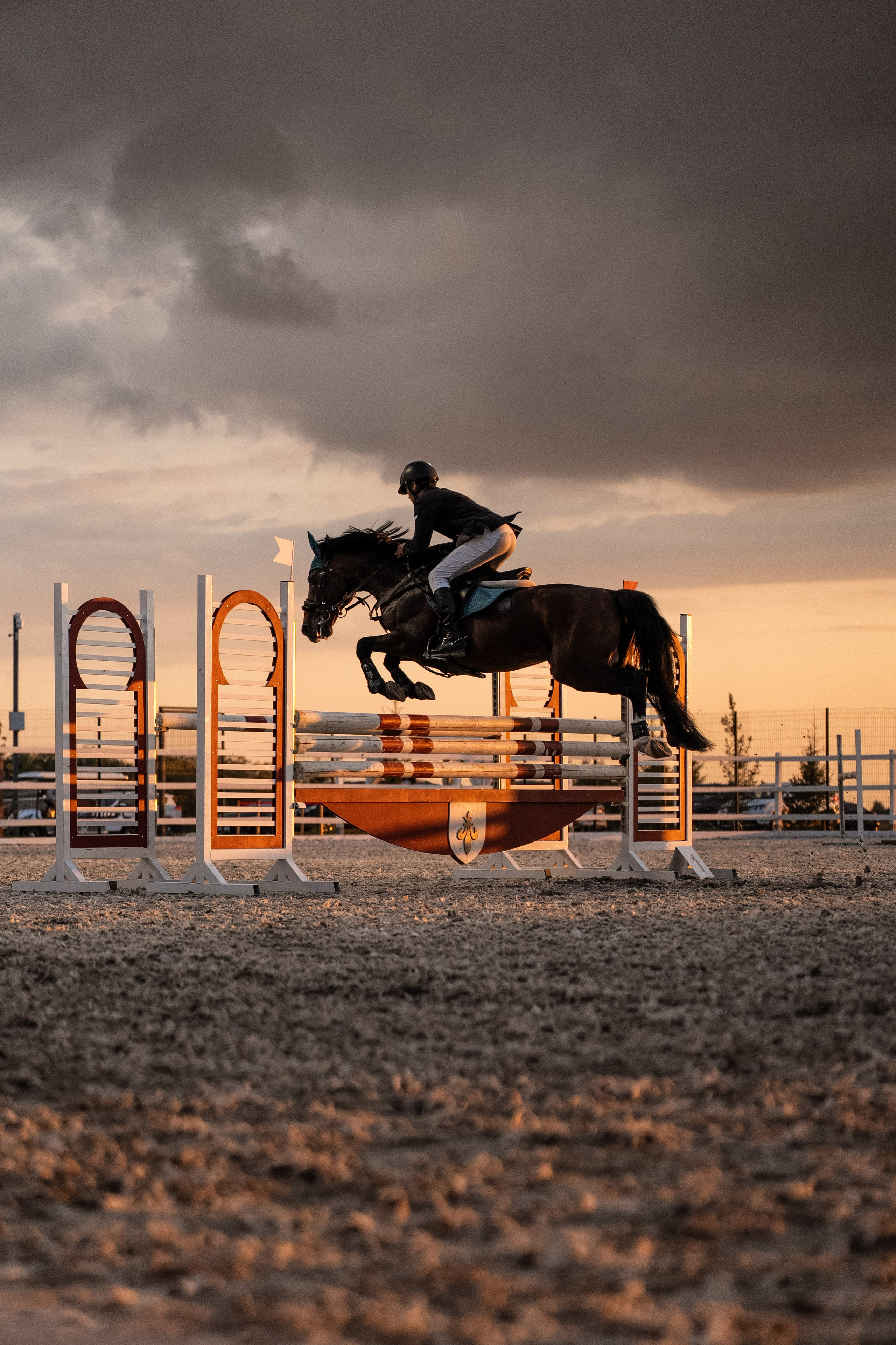 Prestige Astana Cup. 2026. Janie valde |photographer & visual artist