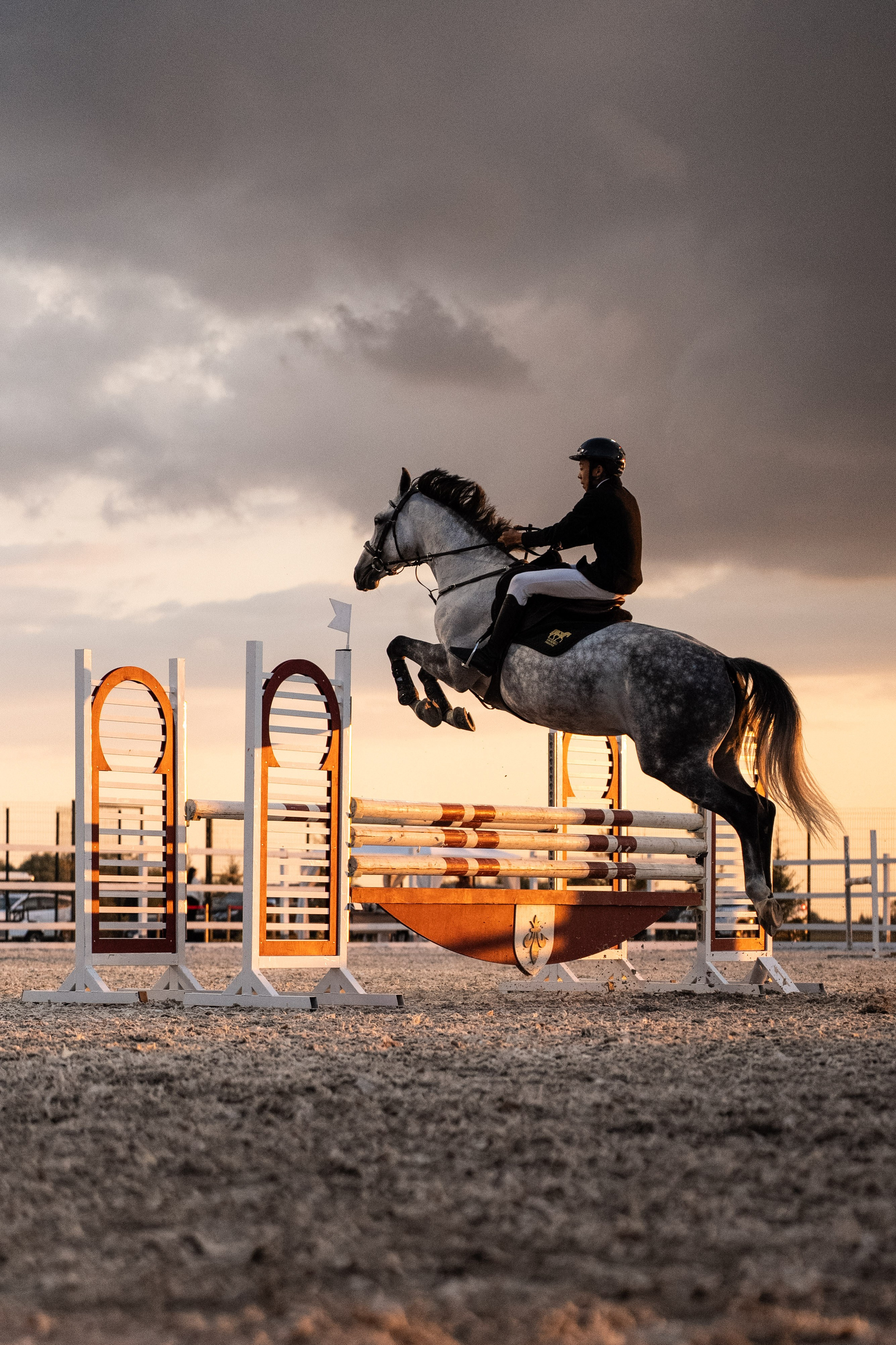 Prestige Astana Cup. 2026. Janie valde |photographer & visual artist
