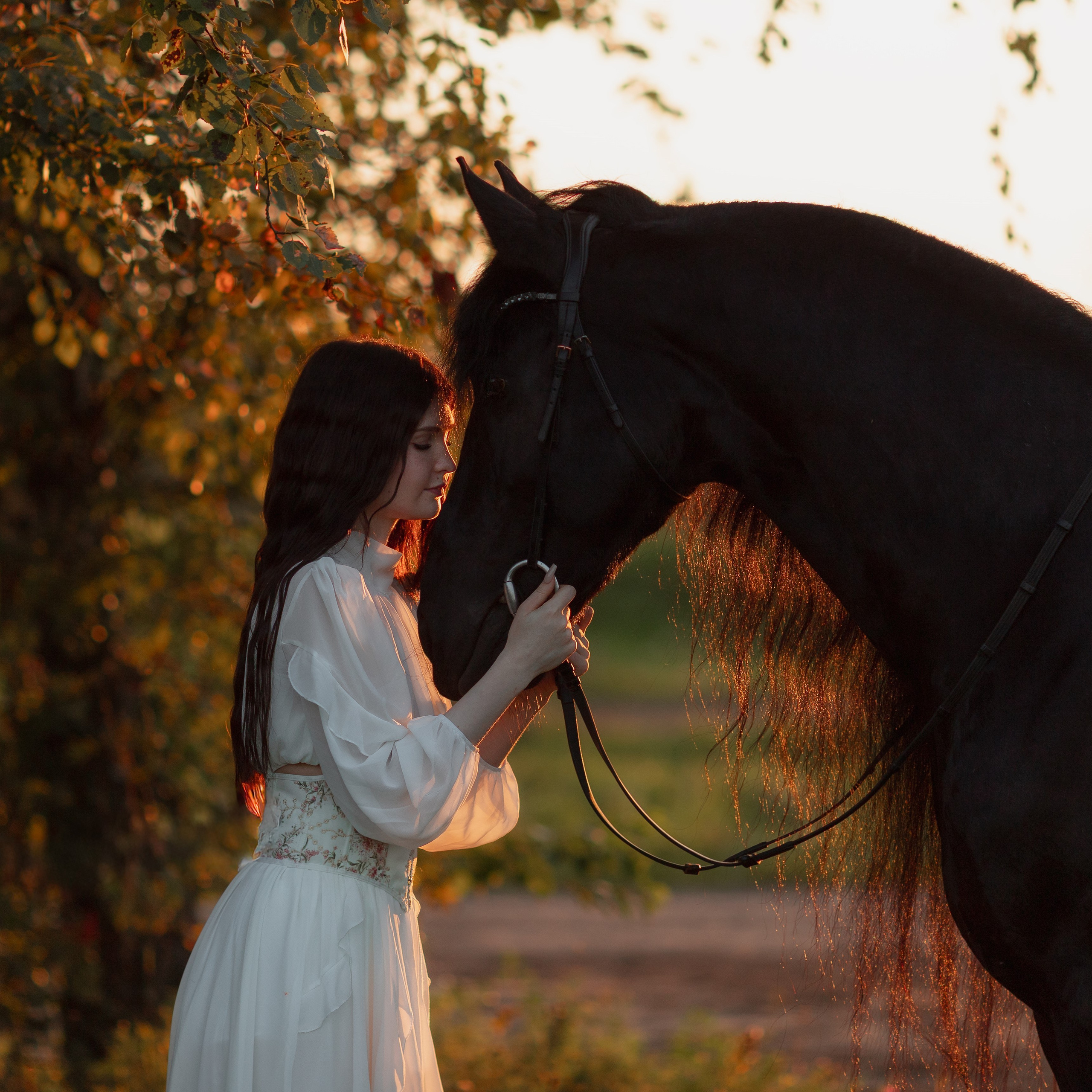 Подарочные сертификаты на фотосессию с лошадью от Светланы Кутейниковой. Фотосессии с лошадьми в Москве от Конный фотографа Кутейниковой Светланы