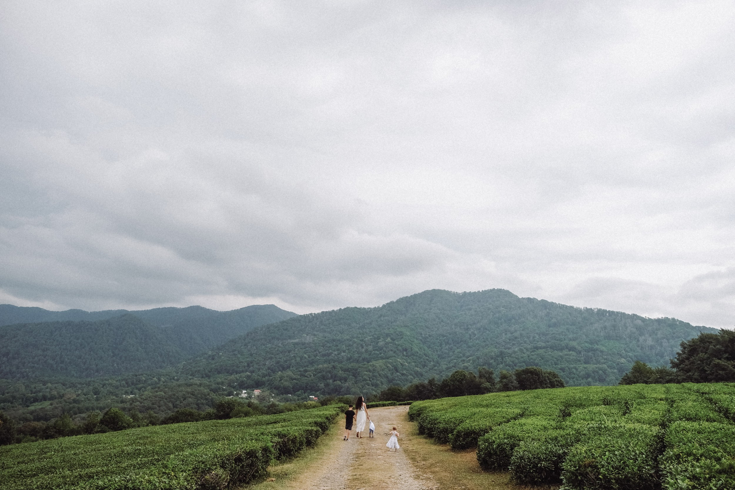 Маша, Влада и Артём. Семейный фотограф Москва