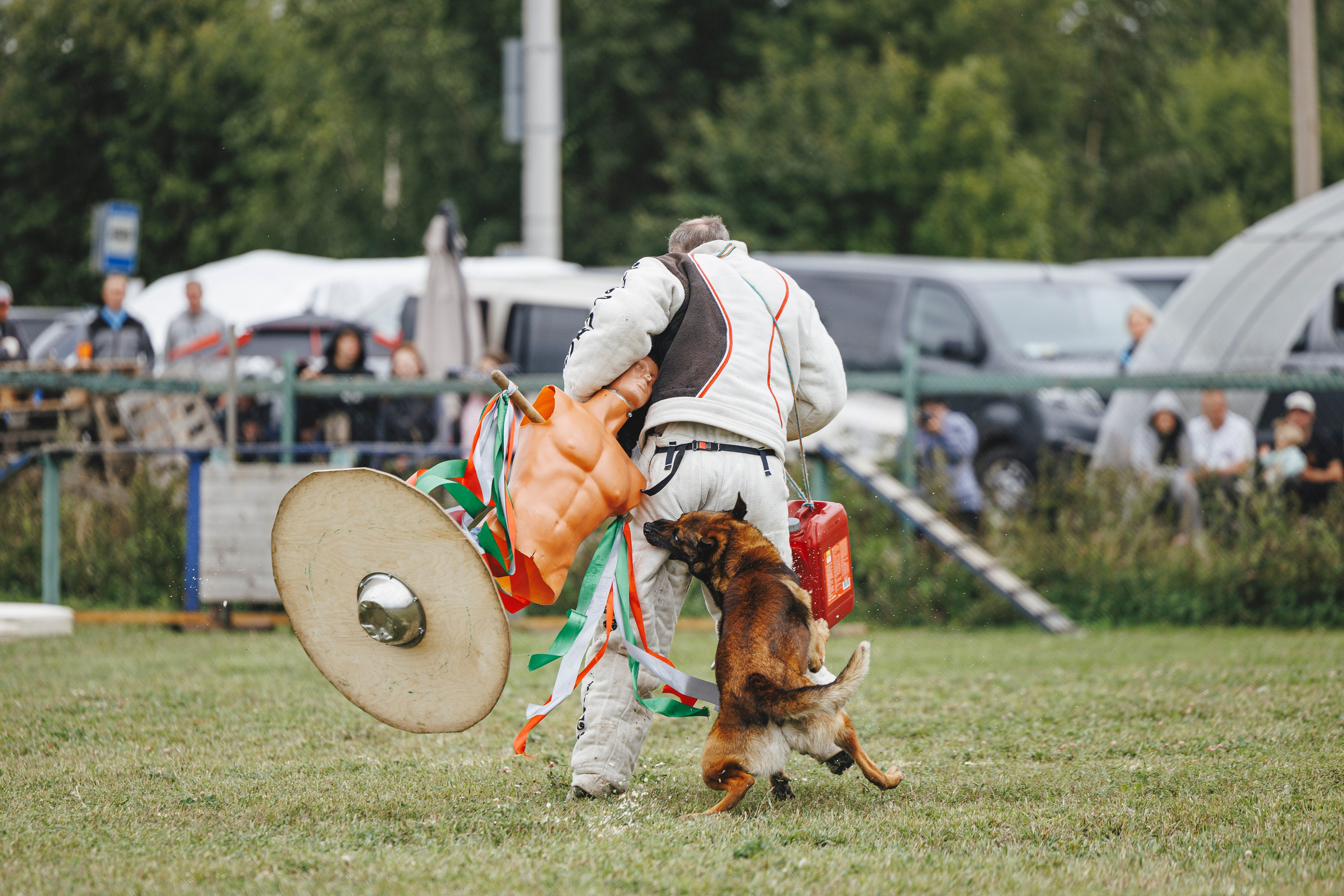 08.08.25-10.08.25 ЧР по мондьорингу г. Вологда. Фотограф-анималист Анна Маринич