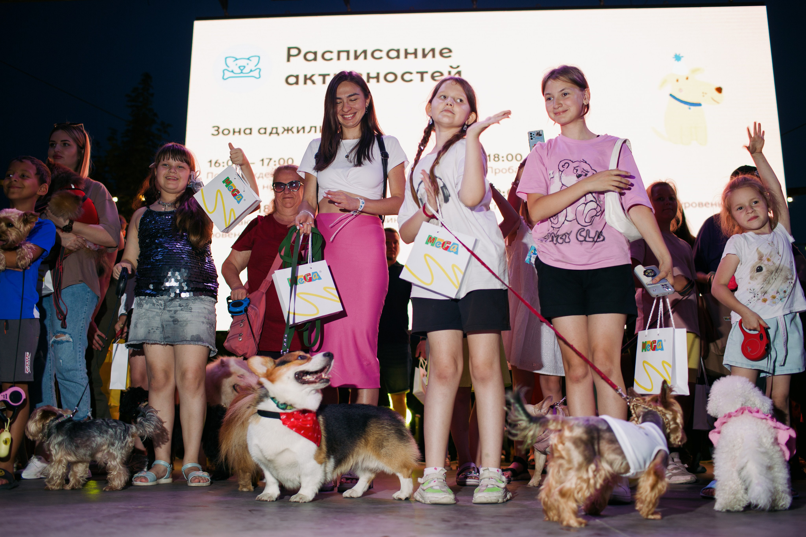 Dog Fest 2024. Главная