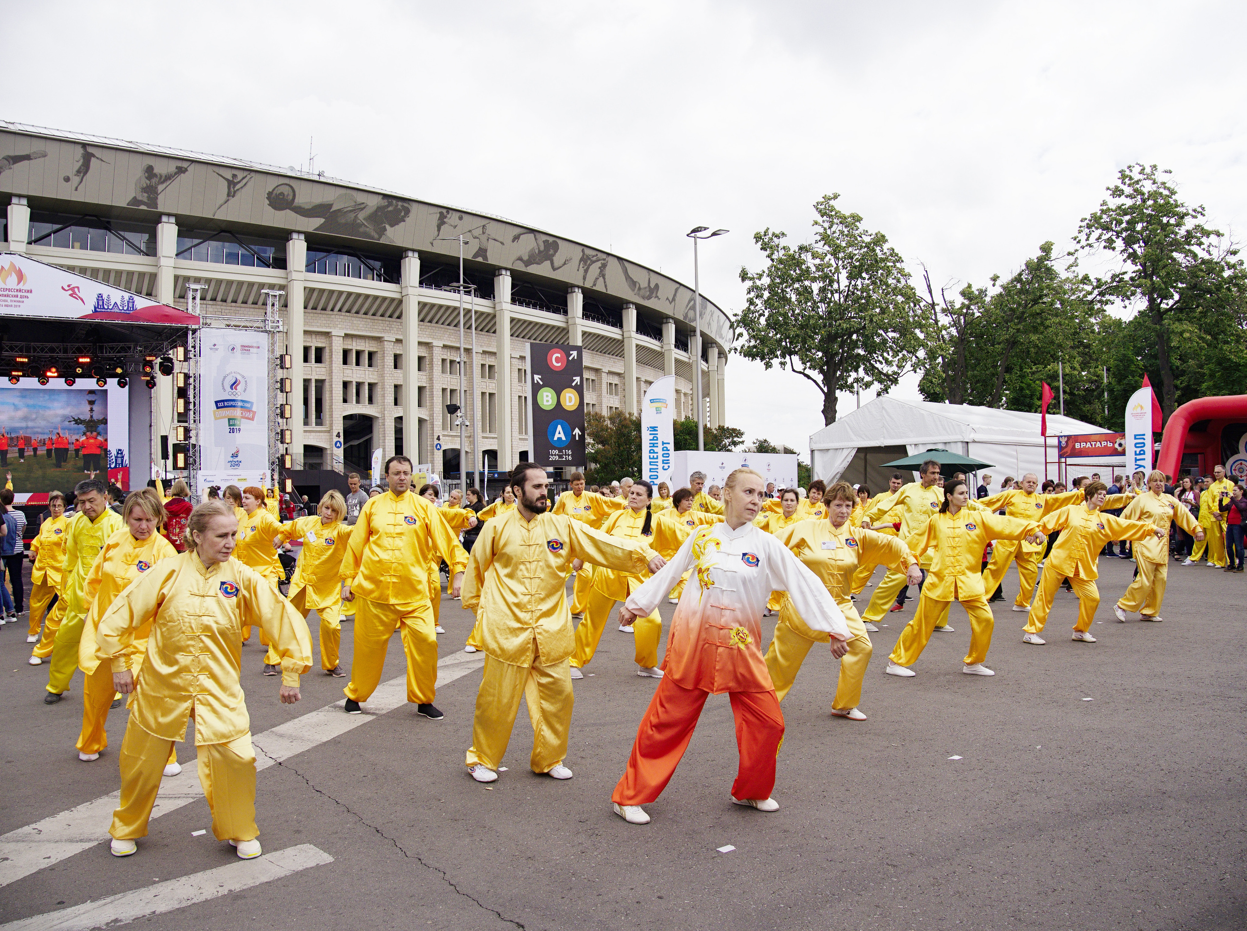 ХХХ Всероссийский олимпийский день. Лужники-2019 год. Фотограф Никифоров-Гордеев Сергей. Москва и МО