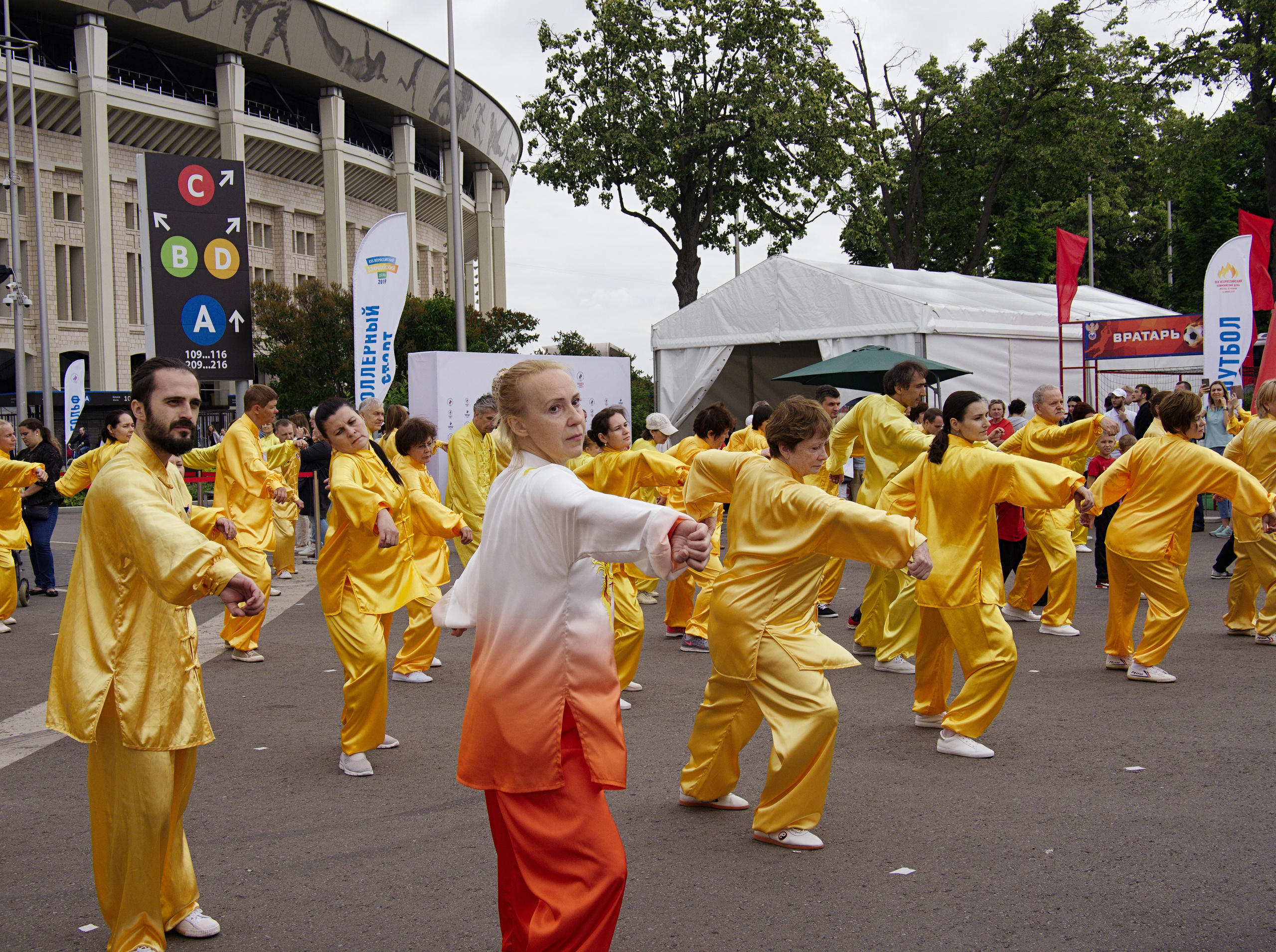 ХХХ Всероссийский олимпийский день. Лужники-2019 год. Фотограф Никифоров-Гордеев Сергей. Москва и МО