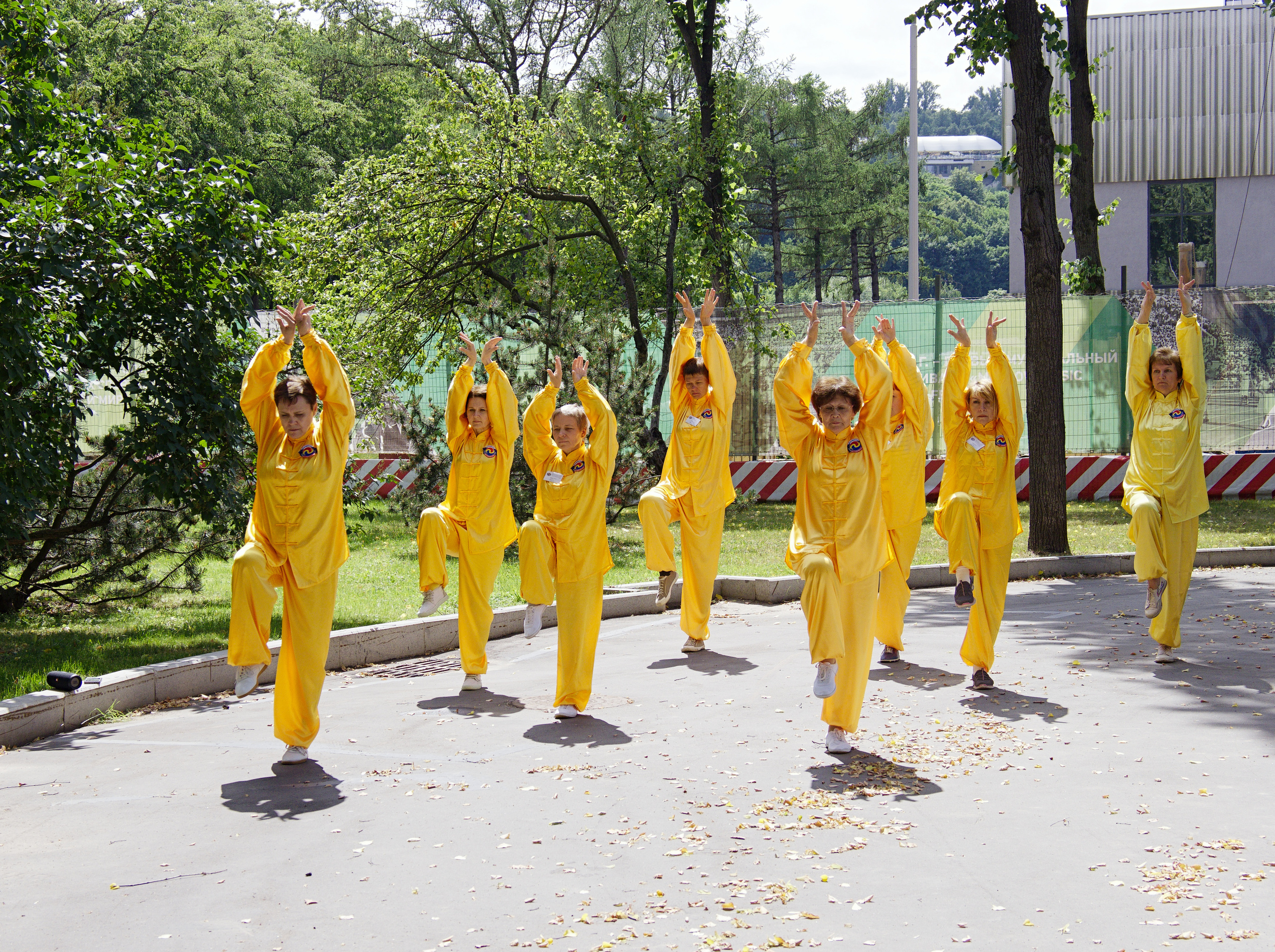 ХХХ Всероссийский олимпийский день. Лужники-2019 год. Фотограф Никифоров-Гордеев Сергей. Москва и МО