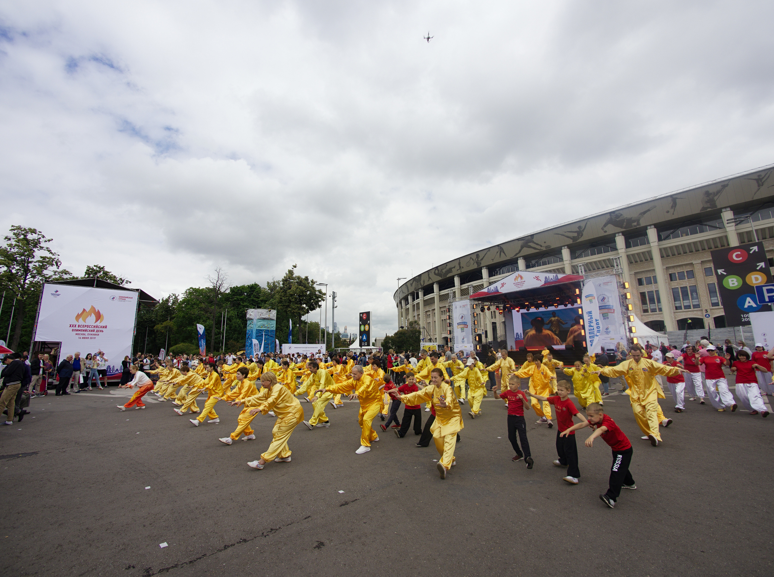 ХХХ Всероссийский олимпийский день. Лужники-2019 год. Фотограф Никифоров-Гордеев Сергей. Москва и МО