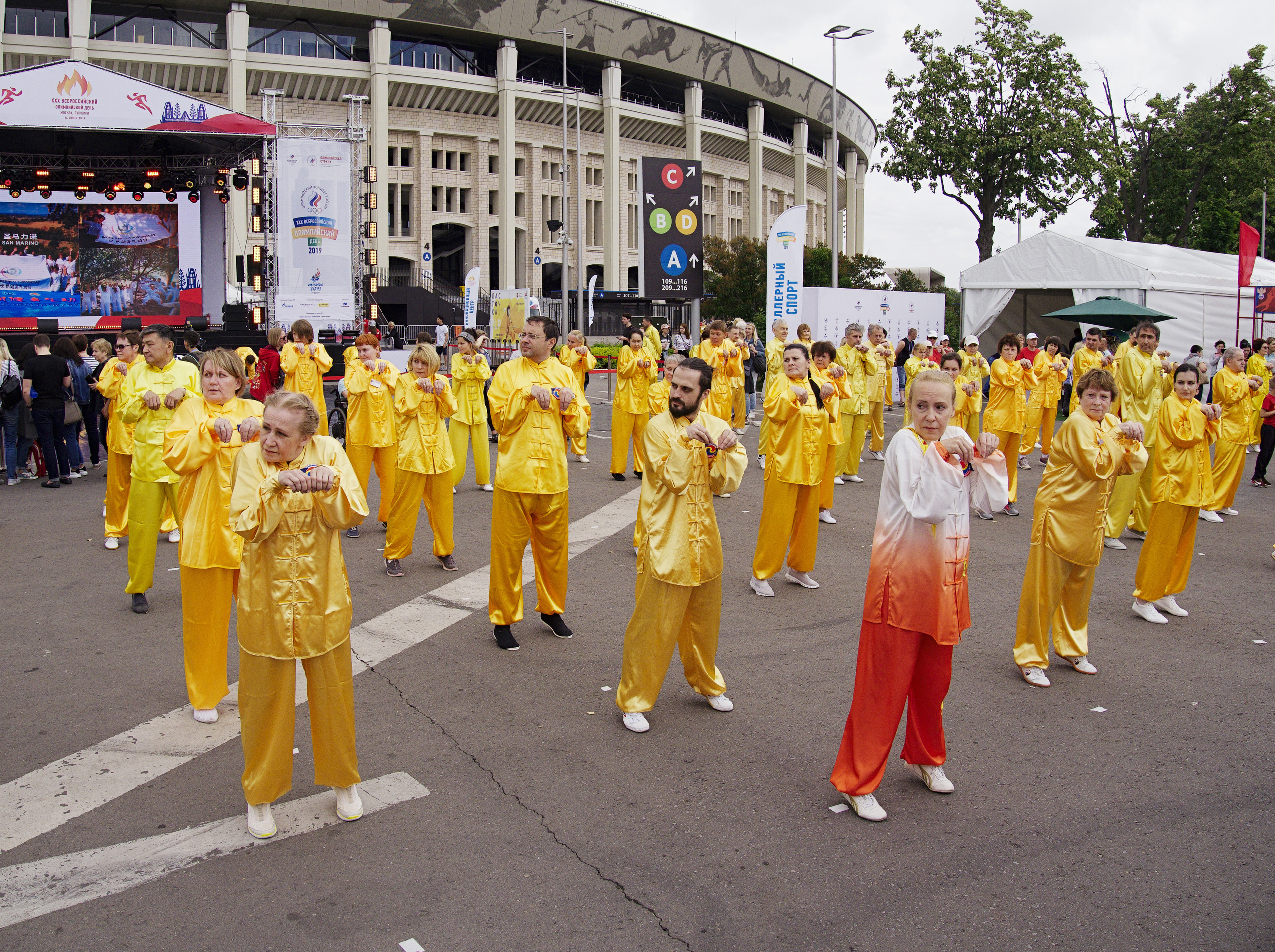 ХХХ Всероссийский олимпийский день. Лужники-2019 год. Фотограф Никифоров-Гордеев Сергей. Москва и МО