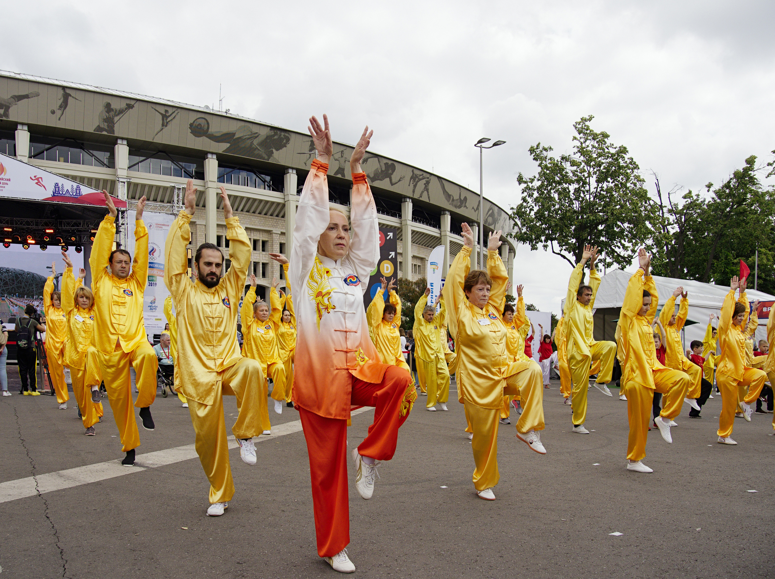 ХХХ Всероссийский олимпийский день. Лужники-2019 год. Фотограф Никифоров-Гордеев Сергей. Москва и МО