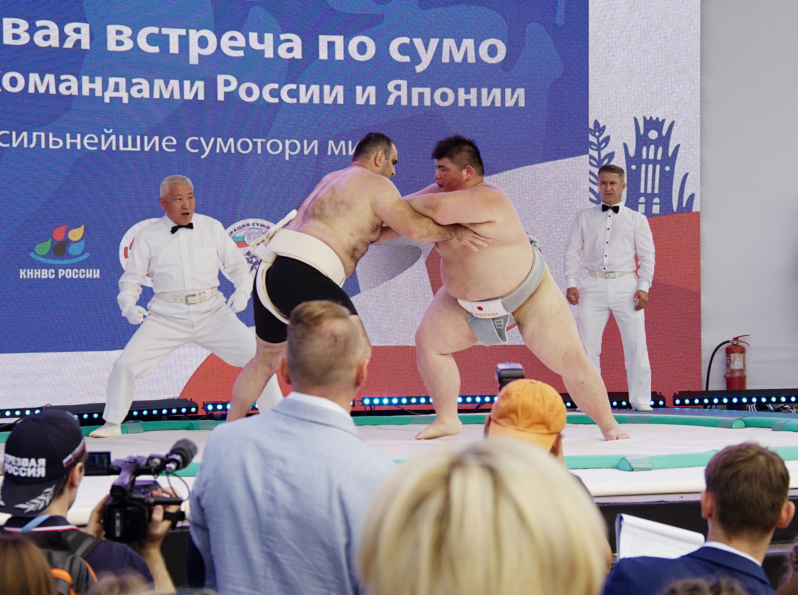 ХХХ Всероссийский олимпийский день. Лужники-2019 год. Фотограф Никифоров-Гордеев Сергей. Москва и МО