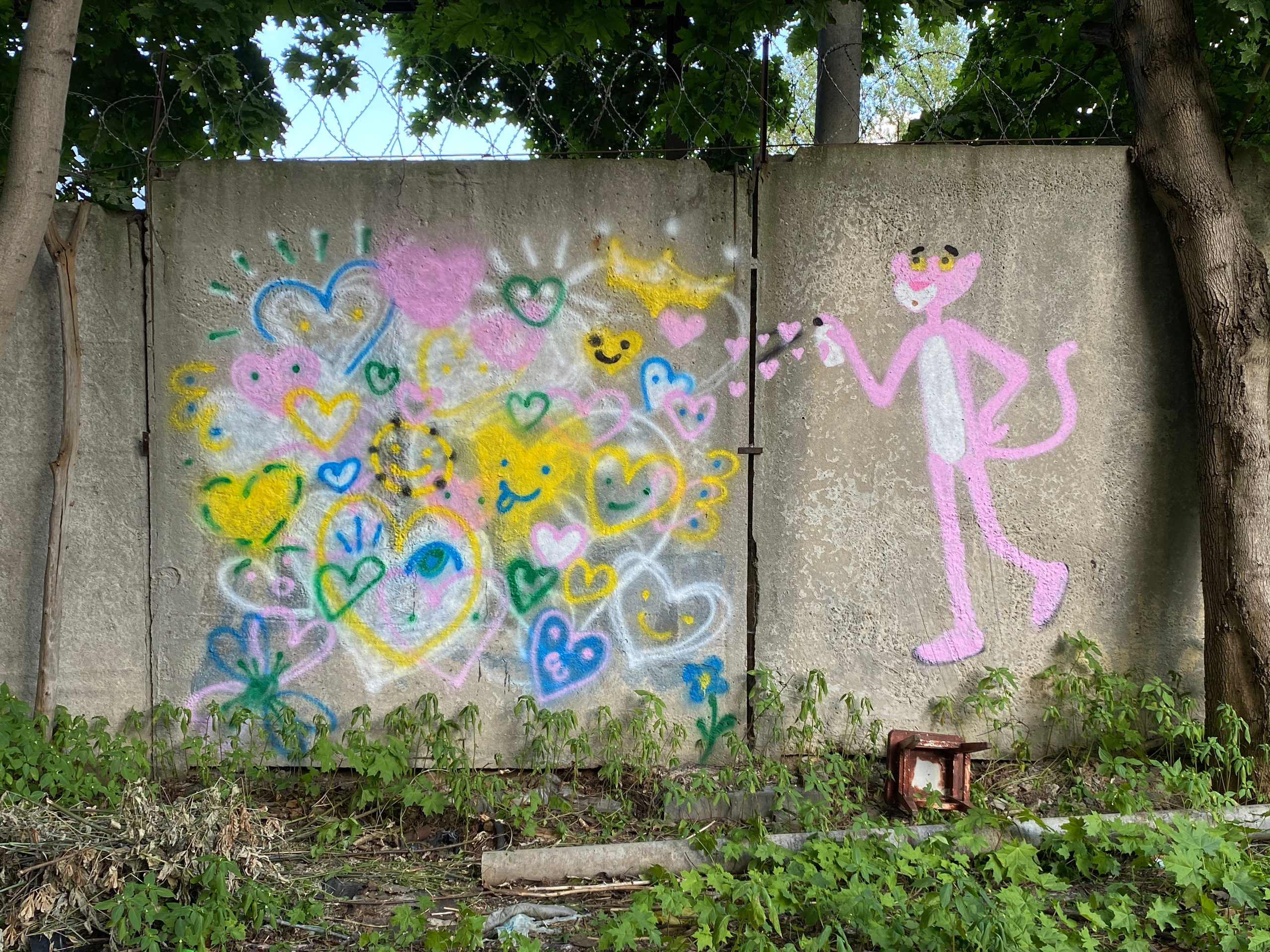 Pink Panther-the-graffitist (коллективная работа). Мультидисциплинарная художница