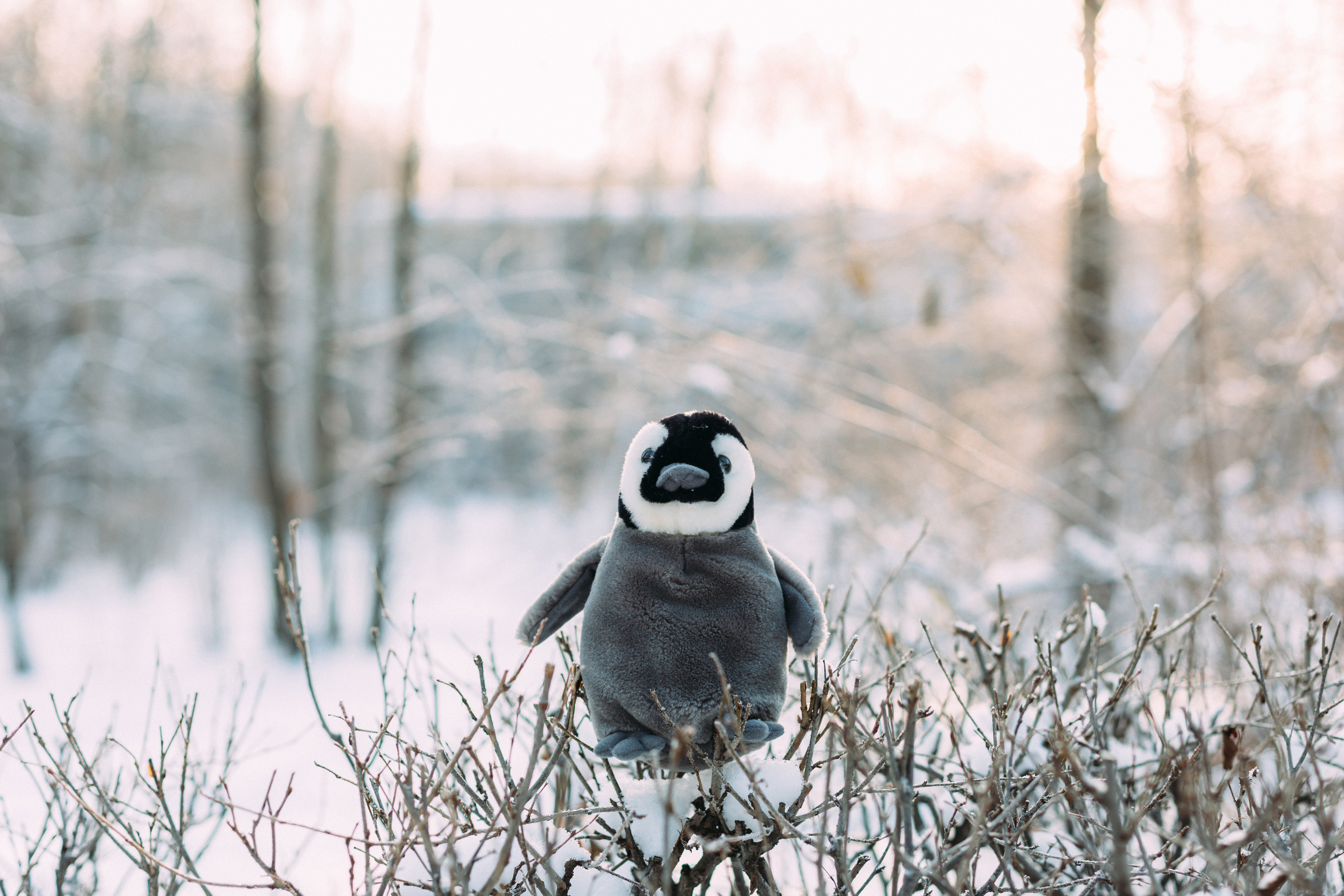 Алёна и Илья. Coach & photographer Anna Sushkova | Valencia, Spain