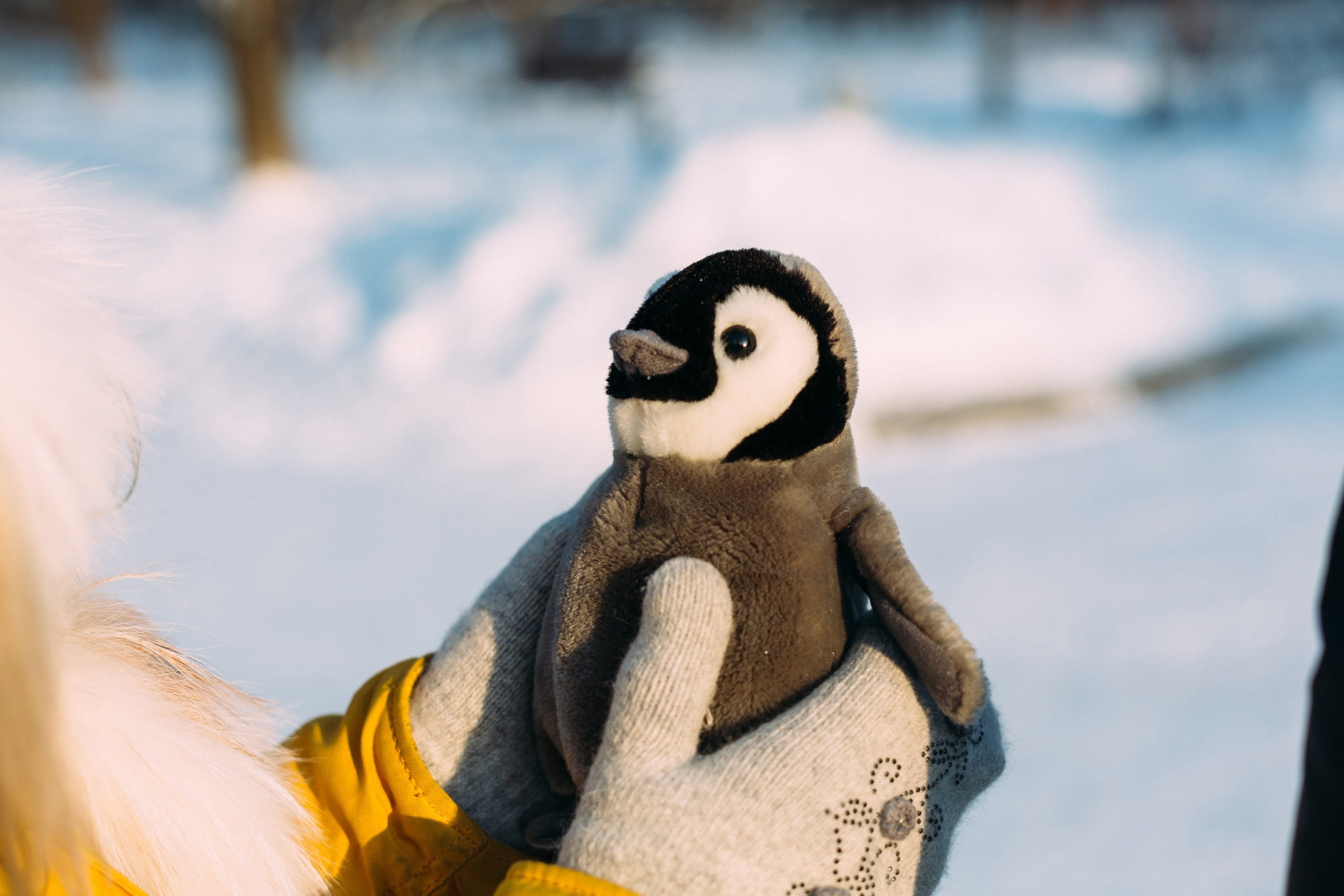 Алёна и Илья. Coach & photographer Anna Sushkova | Valencia, Spain