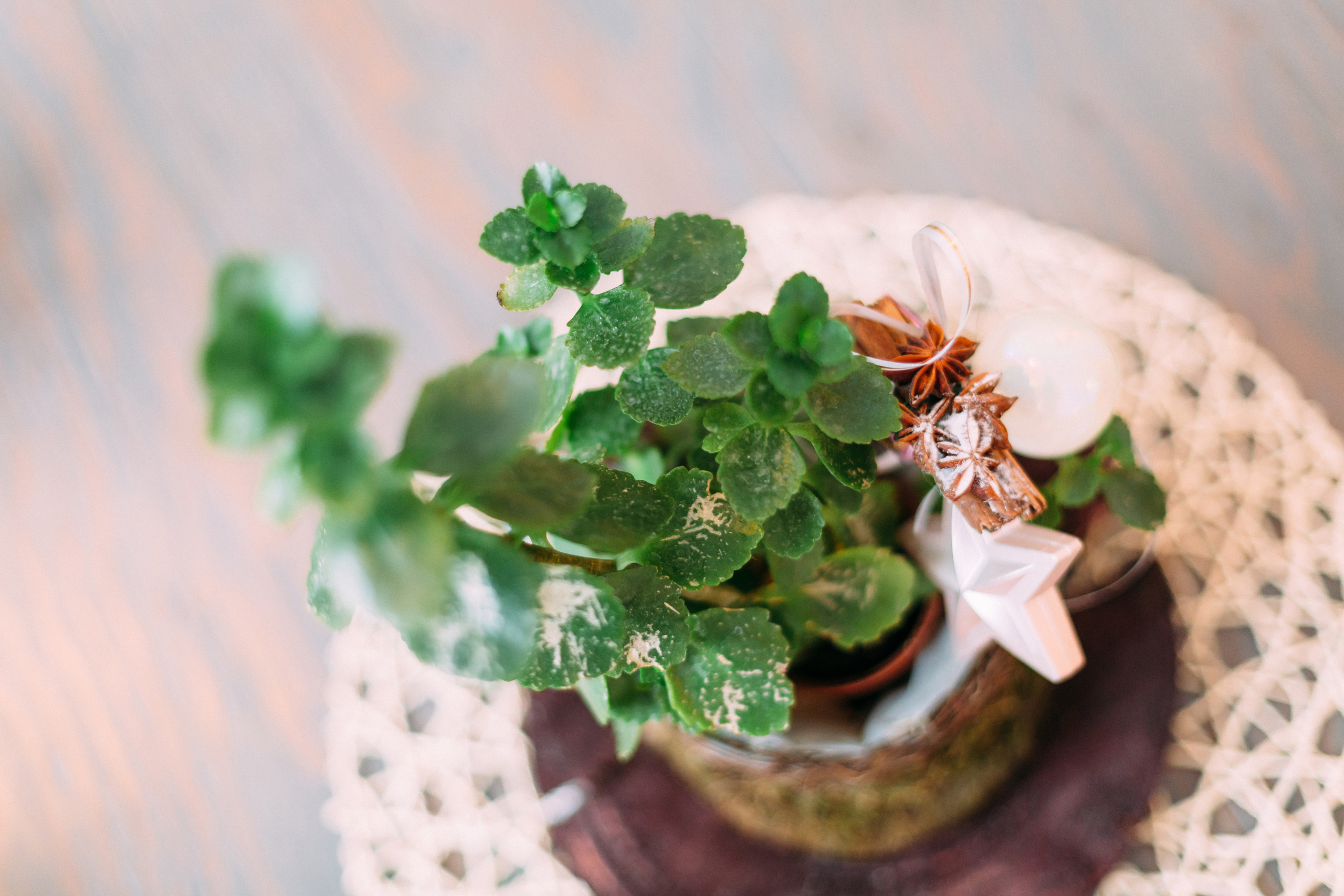 Алёна и Илья. Coach & photographer Anna Sushkova | Valencia, Spain