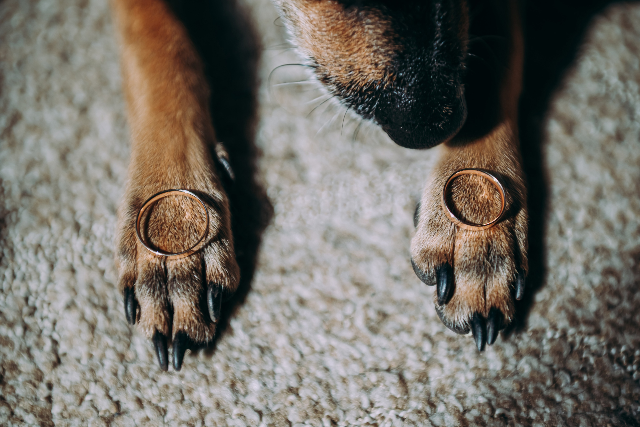 Свадебный фотограф в Кемерово. Анастасия Мир