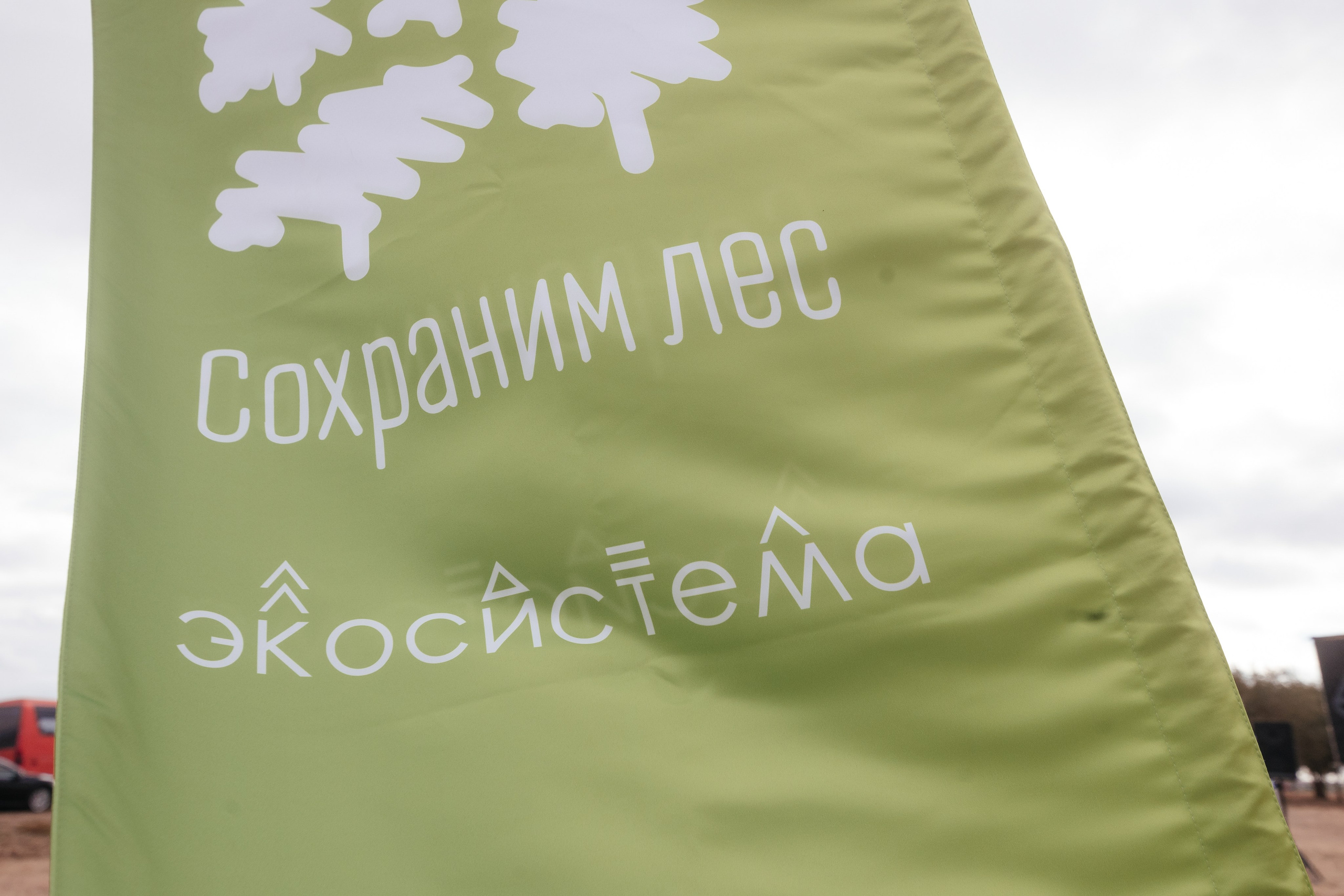 Сохраним лес. Фотограф Крохин Олег