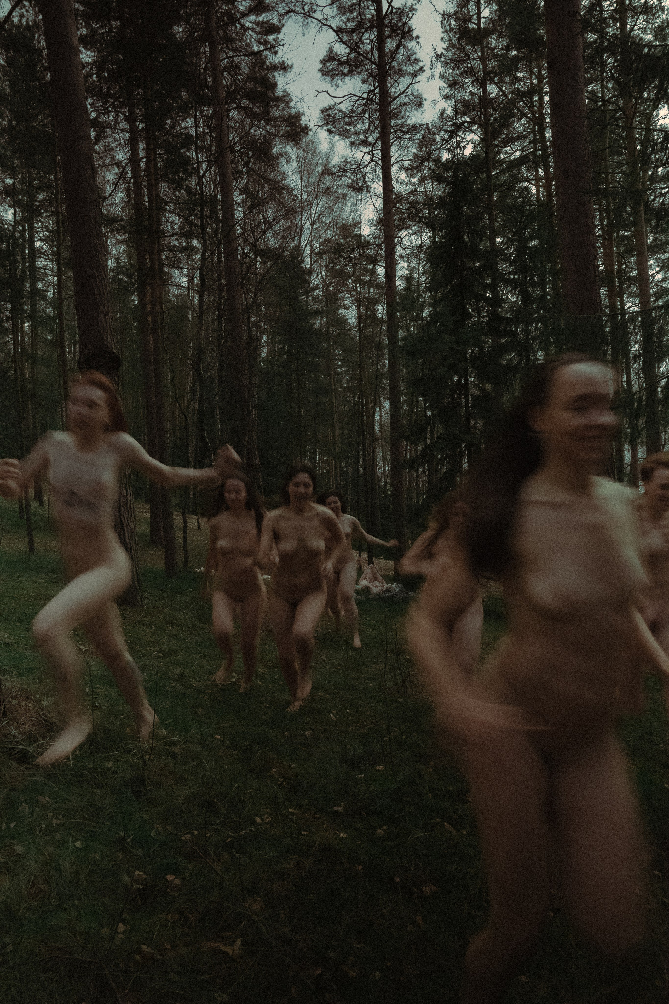 Дикие корни. Художественный фотограф СПБ, Дубай