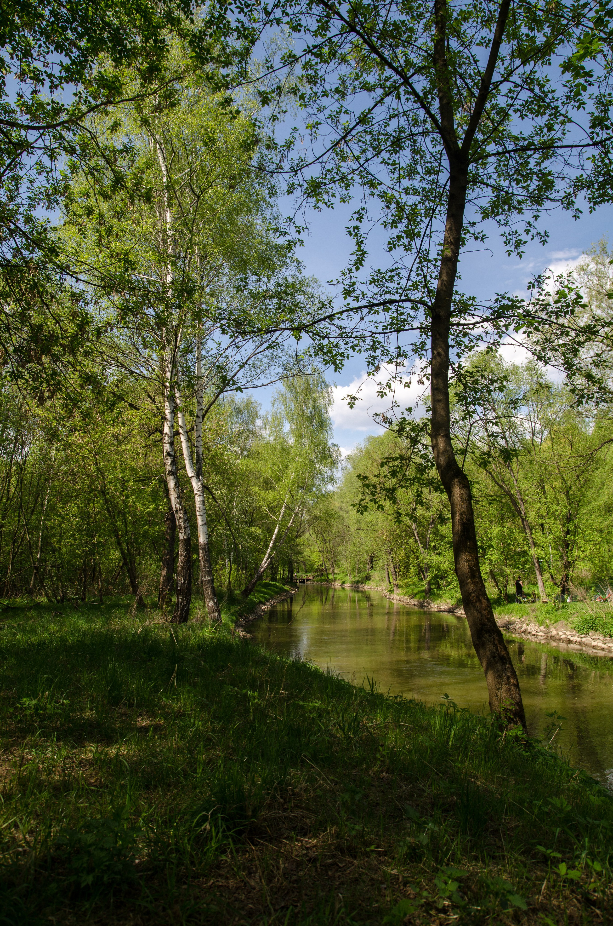 Репортаж. Фото, видео, монтаж
