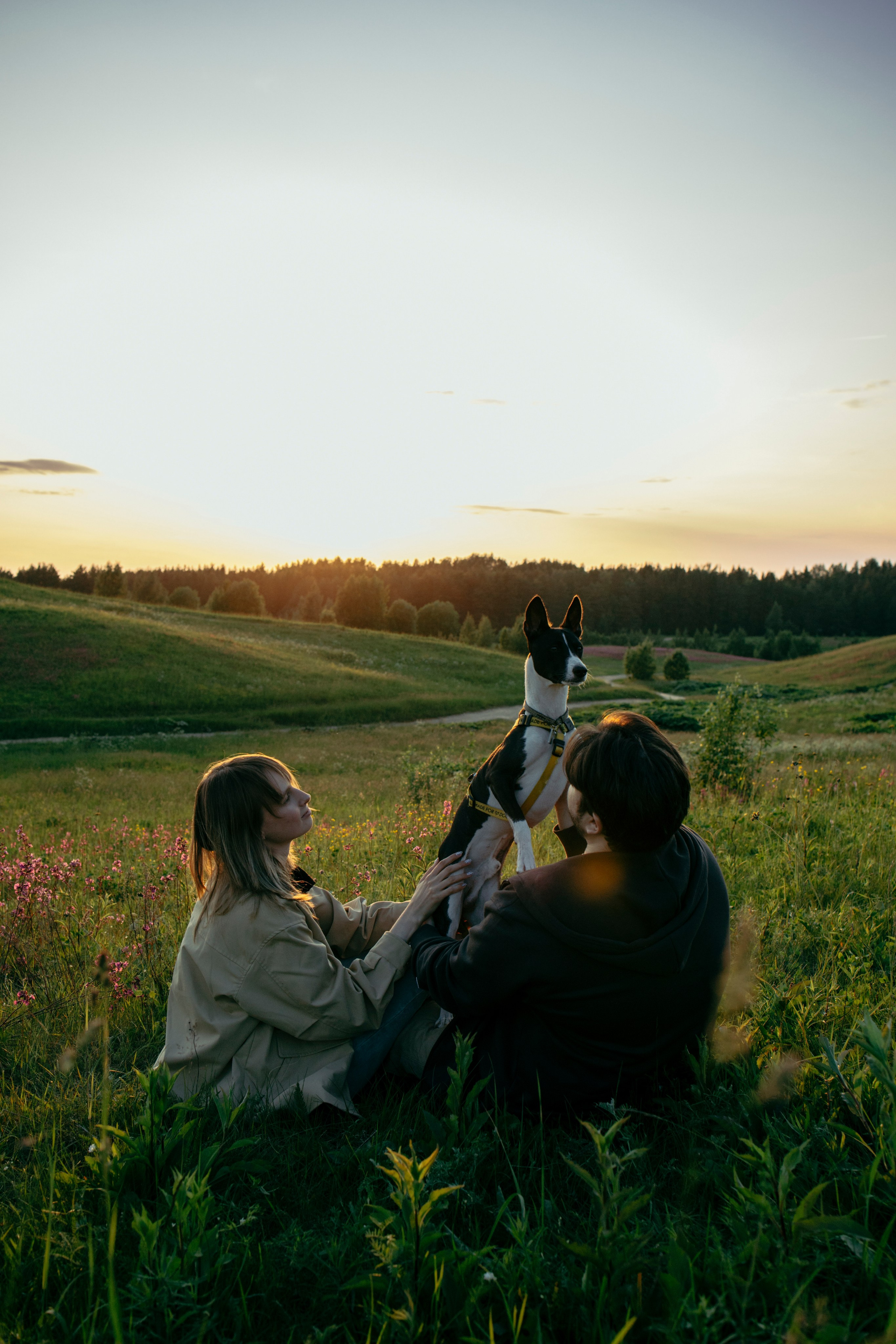 Итачи и его семья 🐾. Фотограф-анималист в Санкт-Петеребурге Титова Алиса