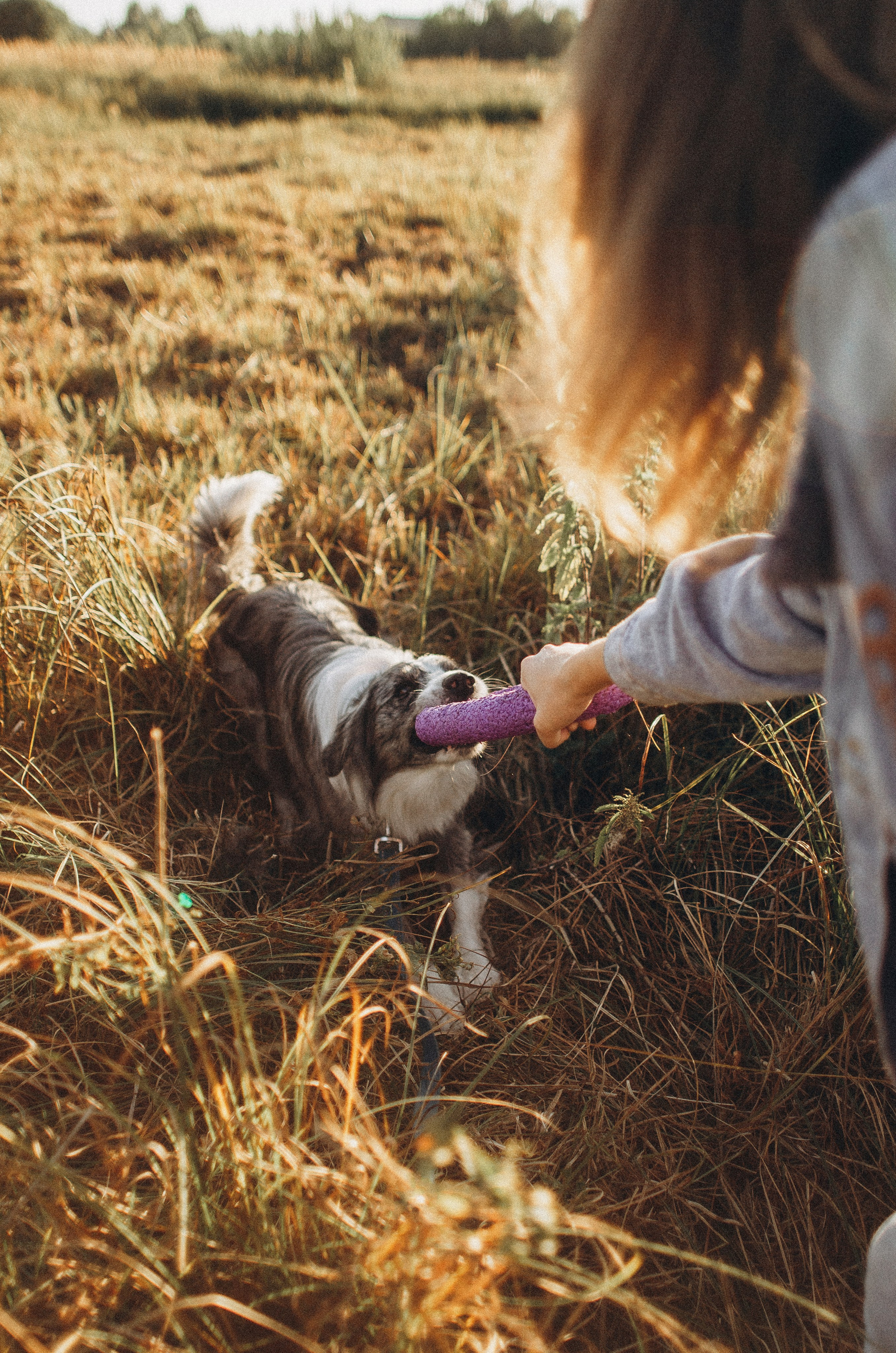 Таня и Бриллиант. Фотограф-анималист Богданова Полина